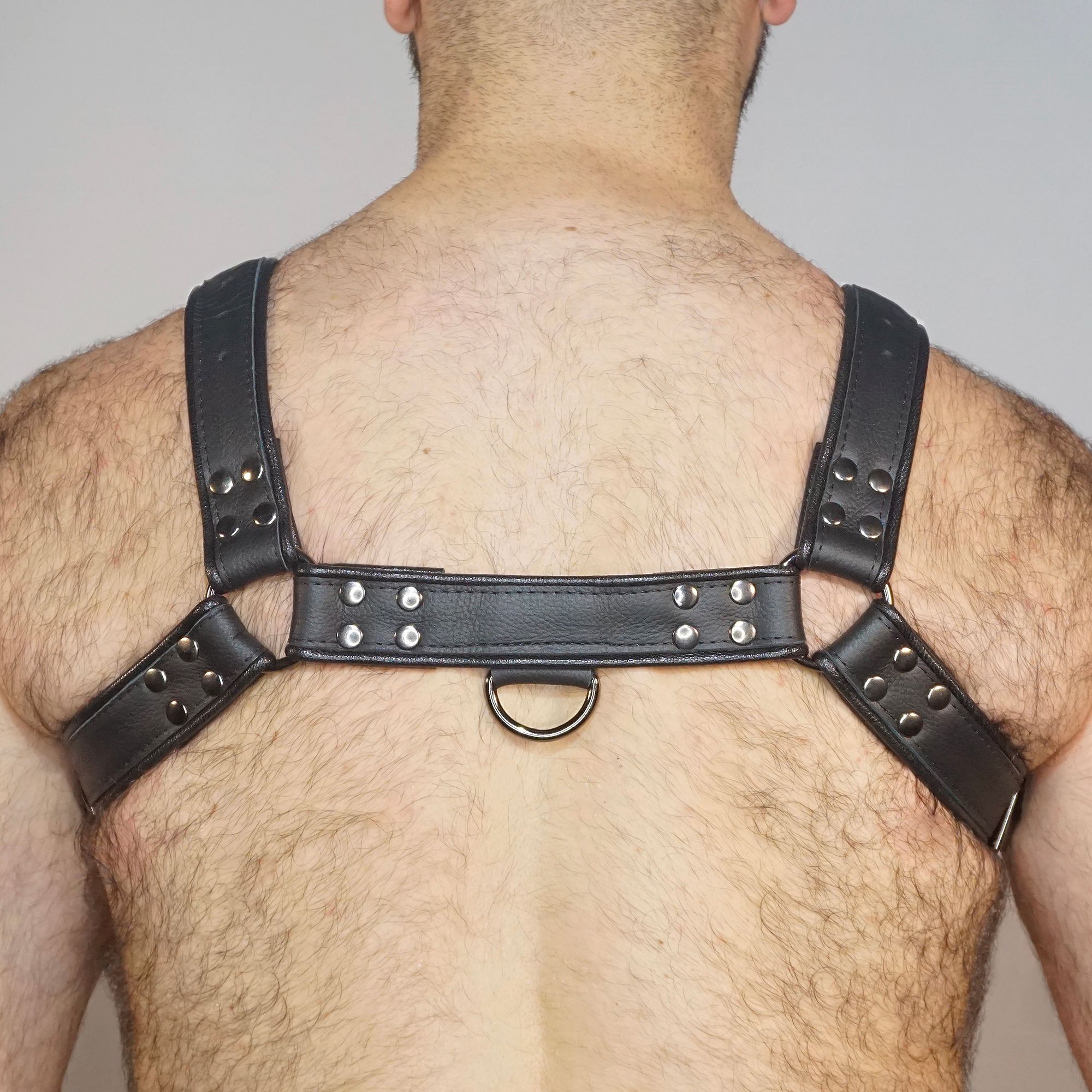 HARNESS (SİYAH)