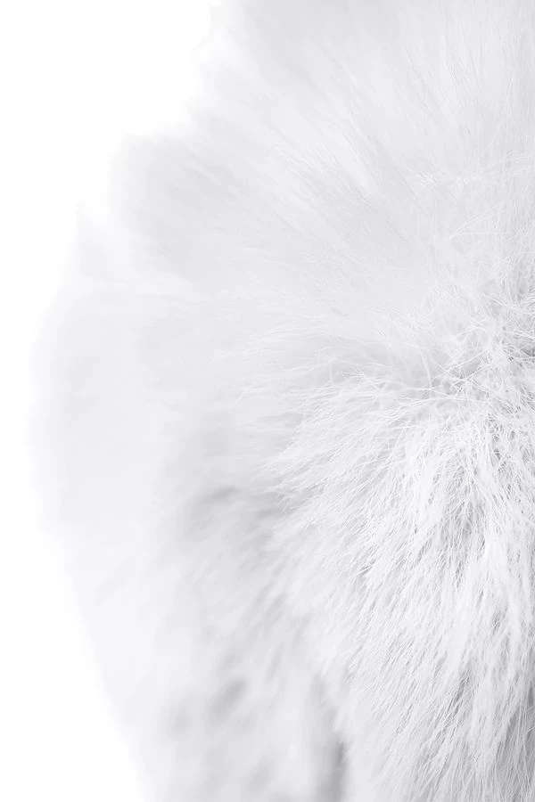 FURY ANAL TIKAÇ [4.2x2.7 CM]