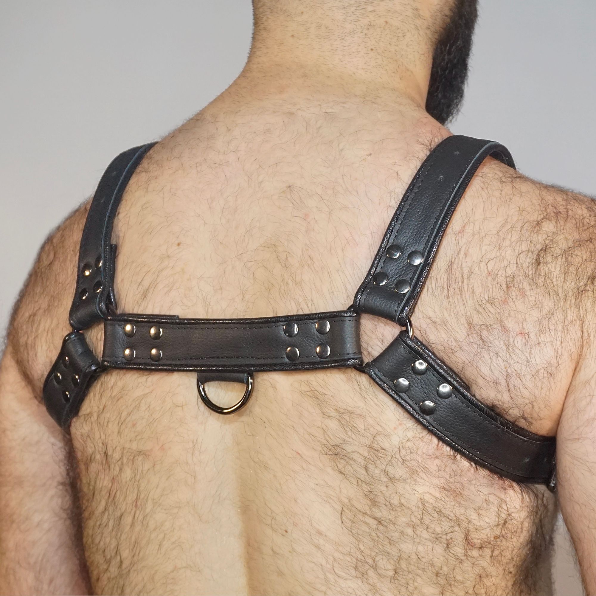 HARNESS (SİYAH)