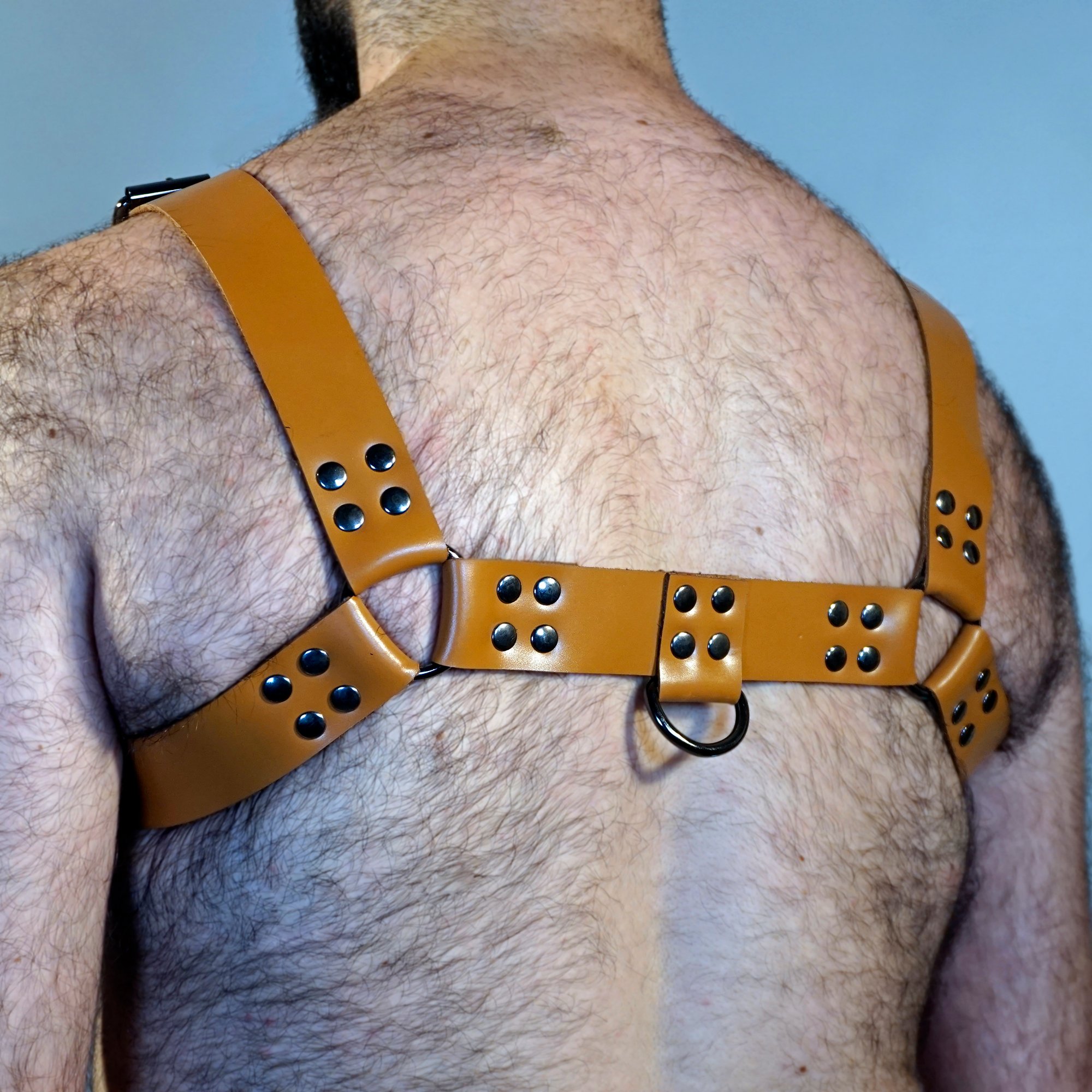 HARNESS (TABA RENGİ)