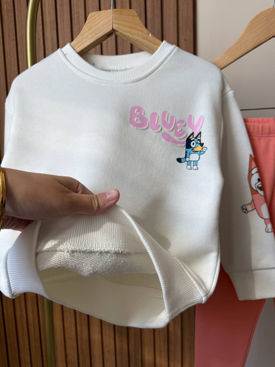 Somon Bluey Taytlı Takım