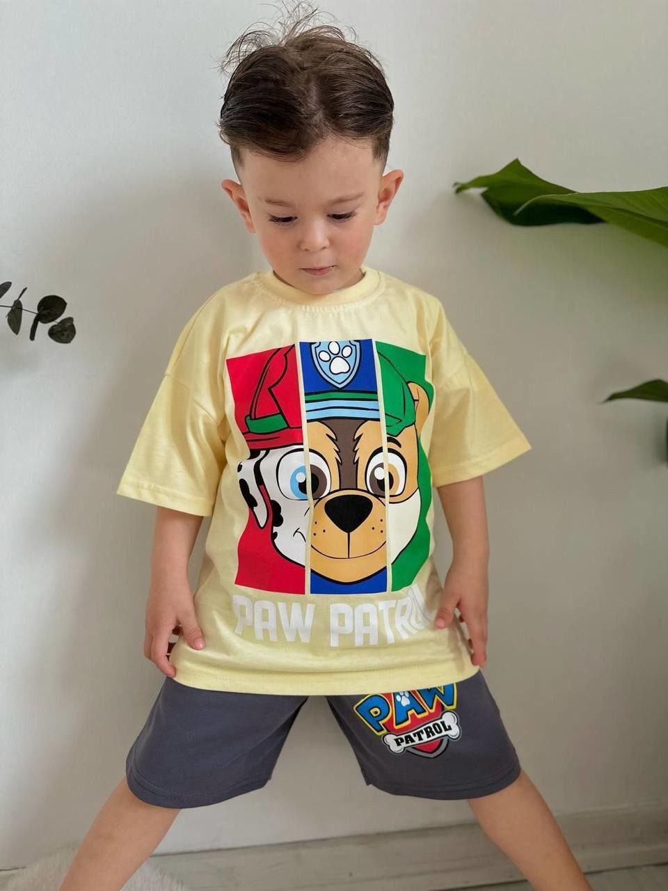 Paw Patrol Antrasit Şortlu Takım