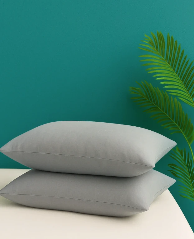 2'li Vakumlu Yastık Seti Dış Kumaş 50x70 cm