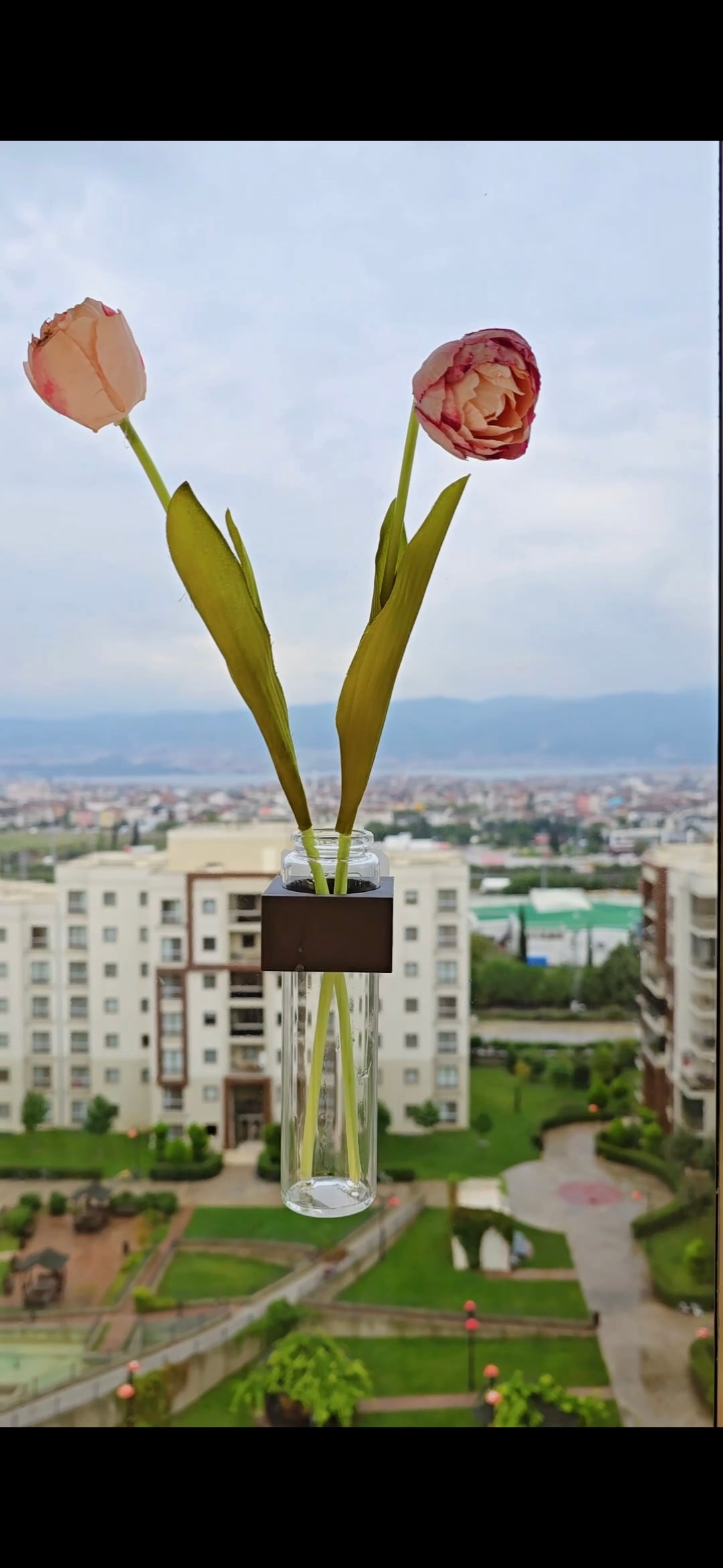 Sök-Tak Askılı Cam Tüp Vazo  Canlı ve Yapay Çiçek / Koku Çubuğu Uyumlu