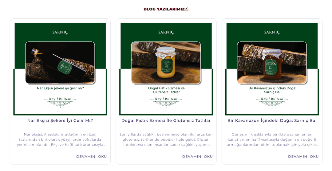Sarnıç Blog