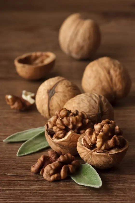 Ceviz alerjisi ve tedavi yöntemleri