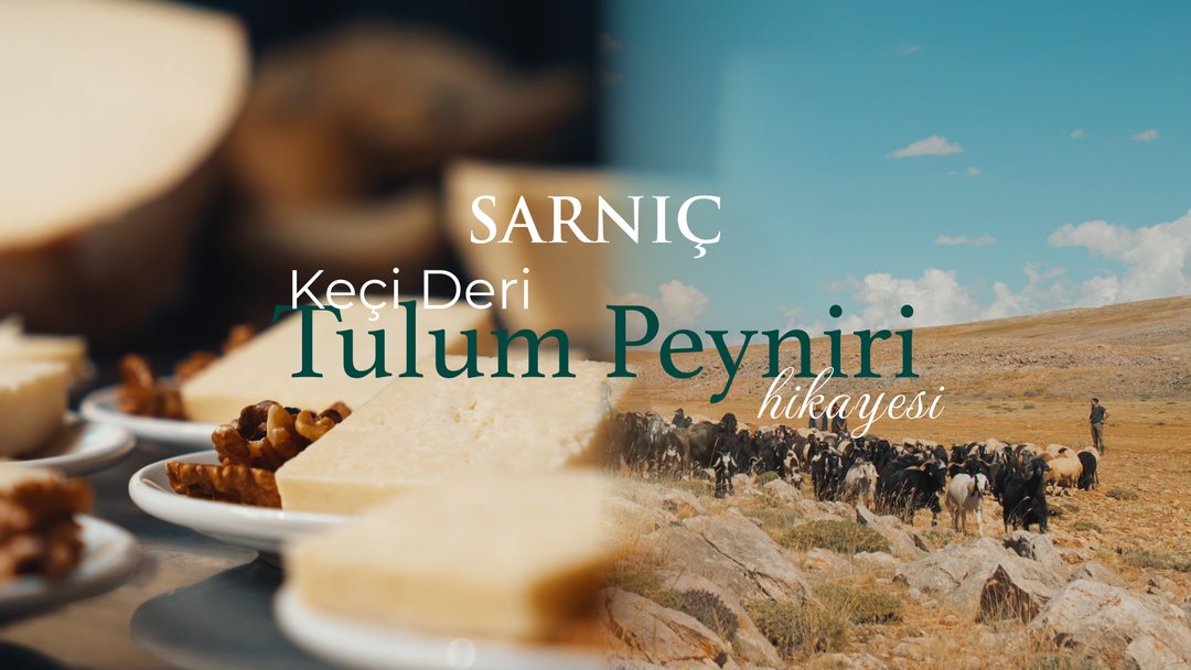 Sarnıç Keçi Deri Tulum Peyniri 