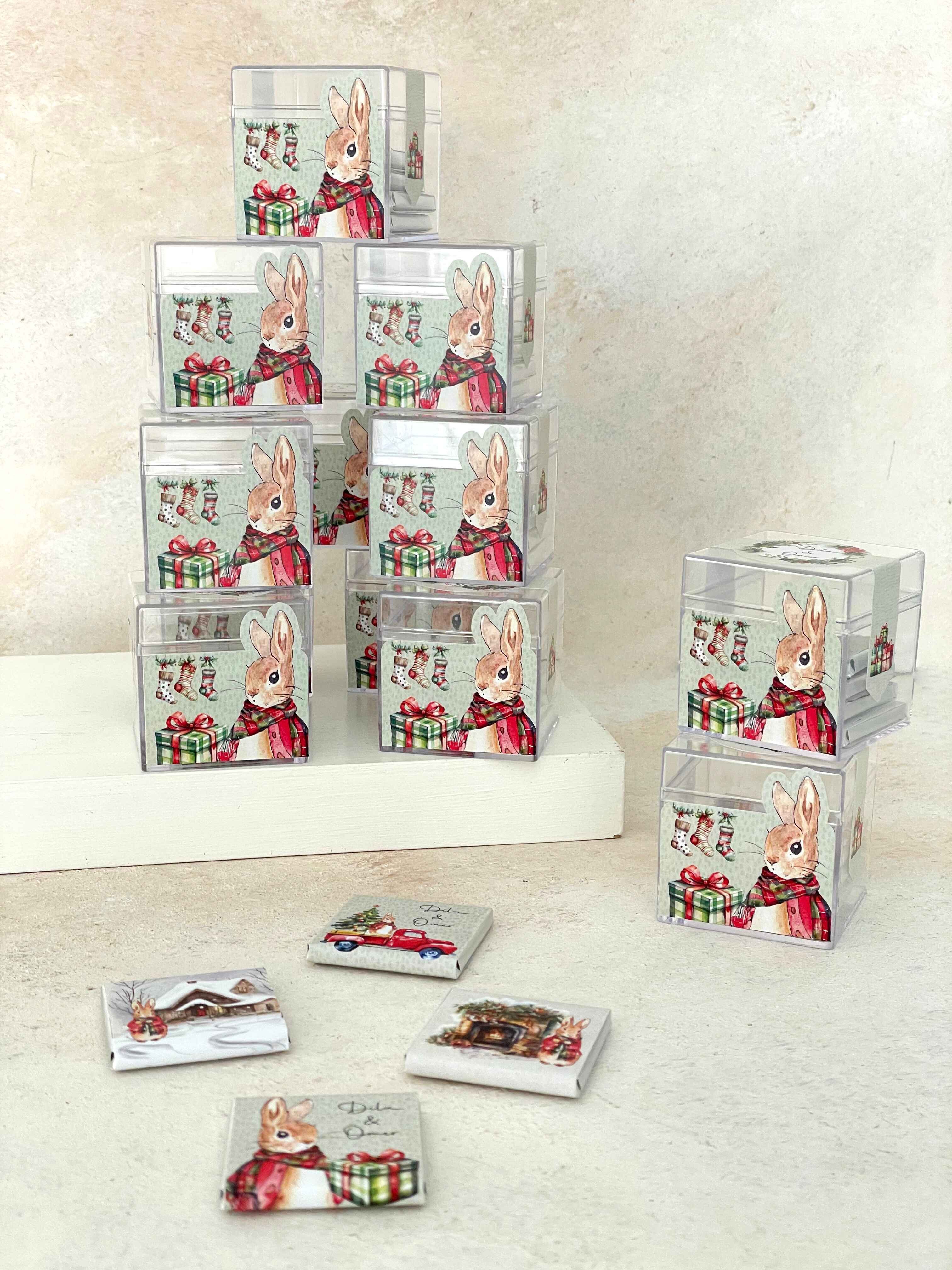 Peter Rabbit Christmas Mika Çikolata Küpü