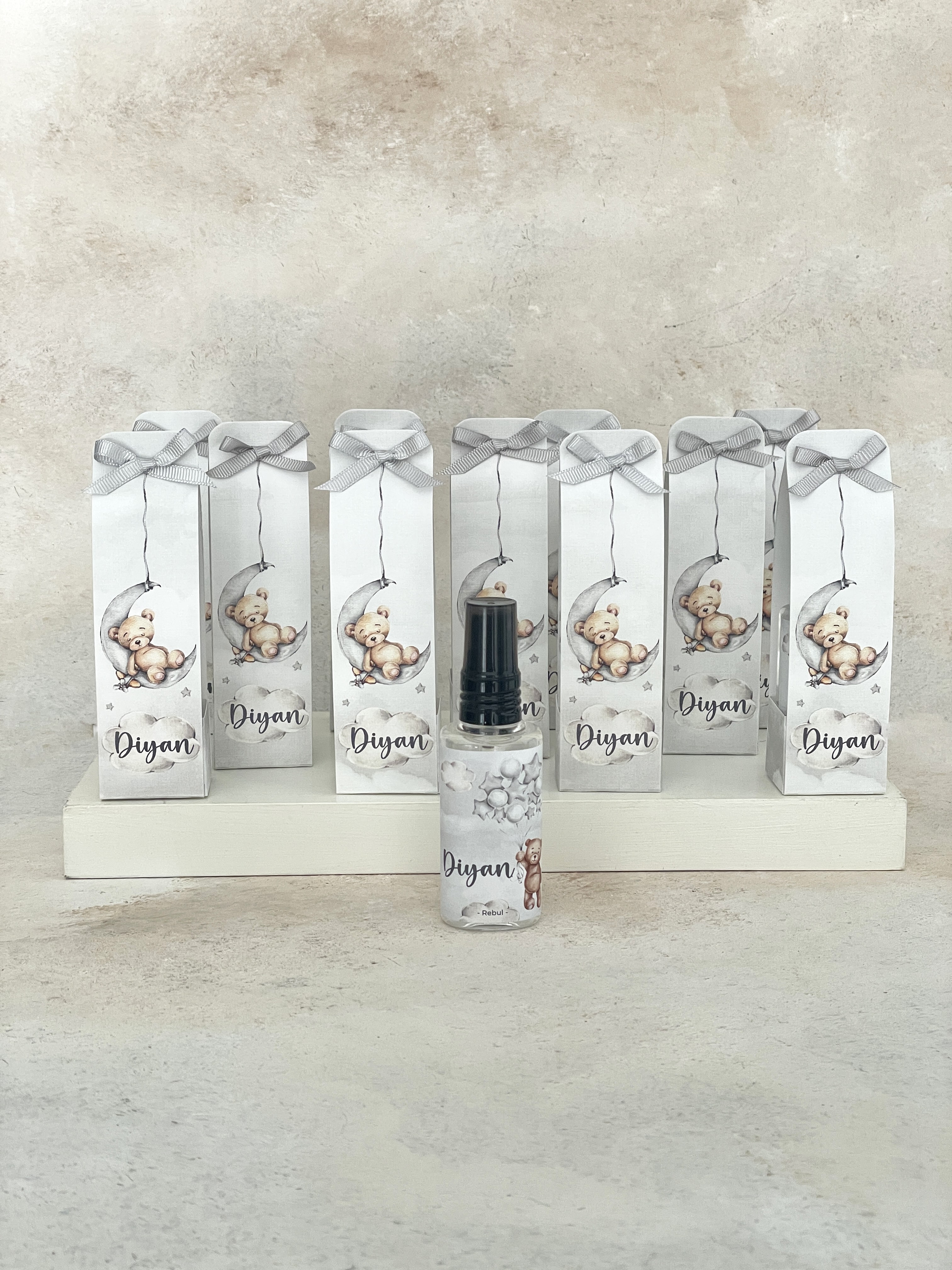 Teddy on Moon Grey Kolonya ve Kılıfı