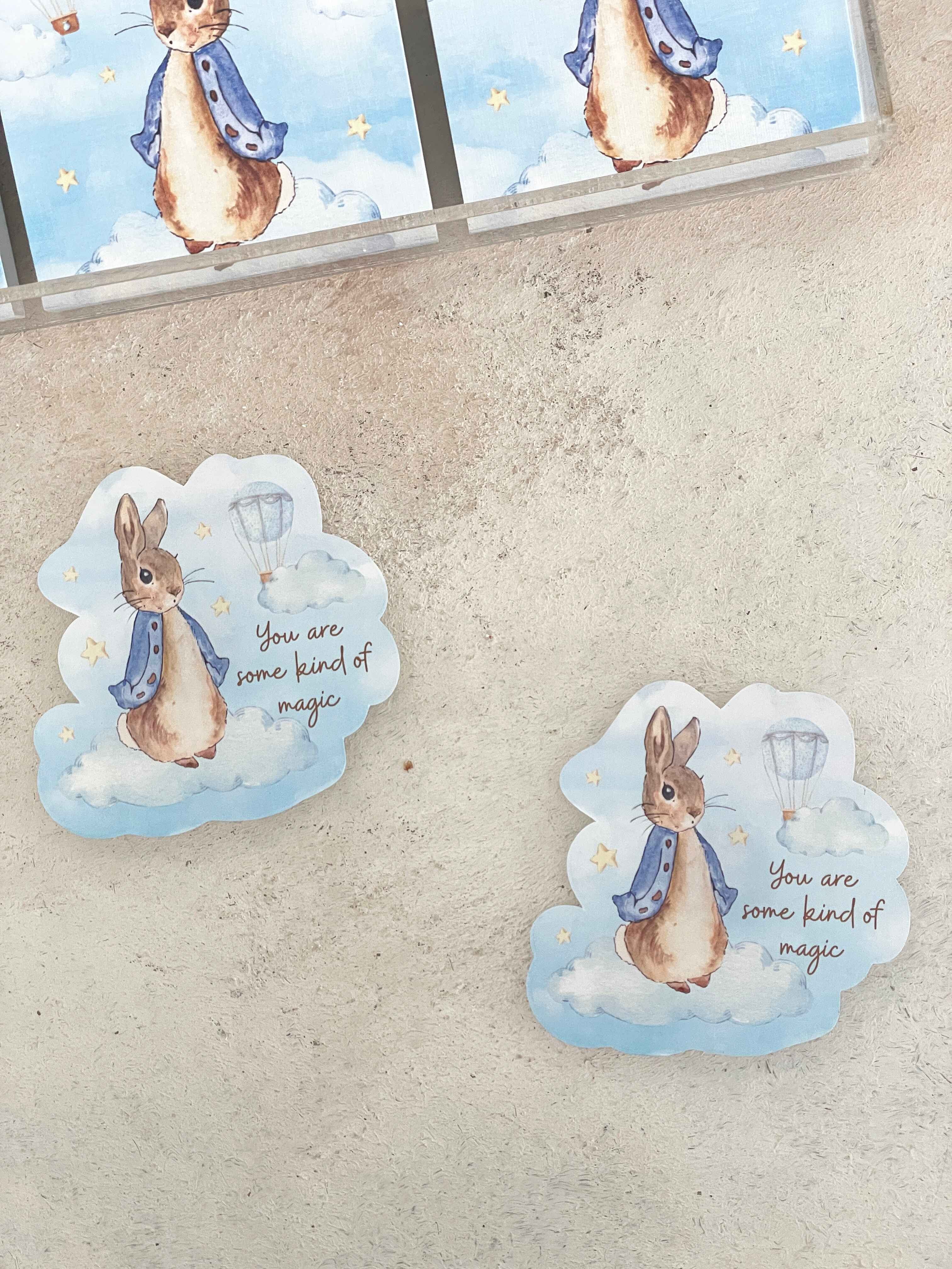 Peter Rabbit on Clouds Pleksi Magnet ve Kılıfı