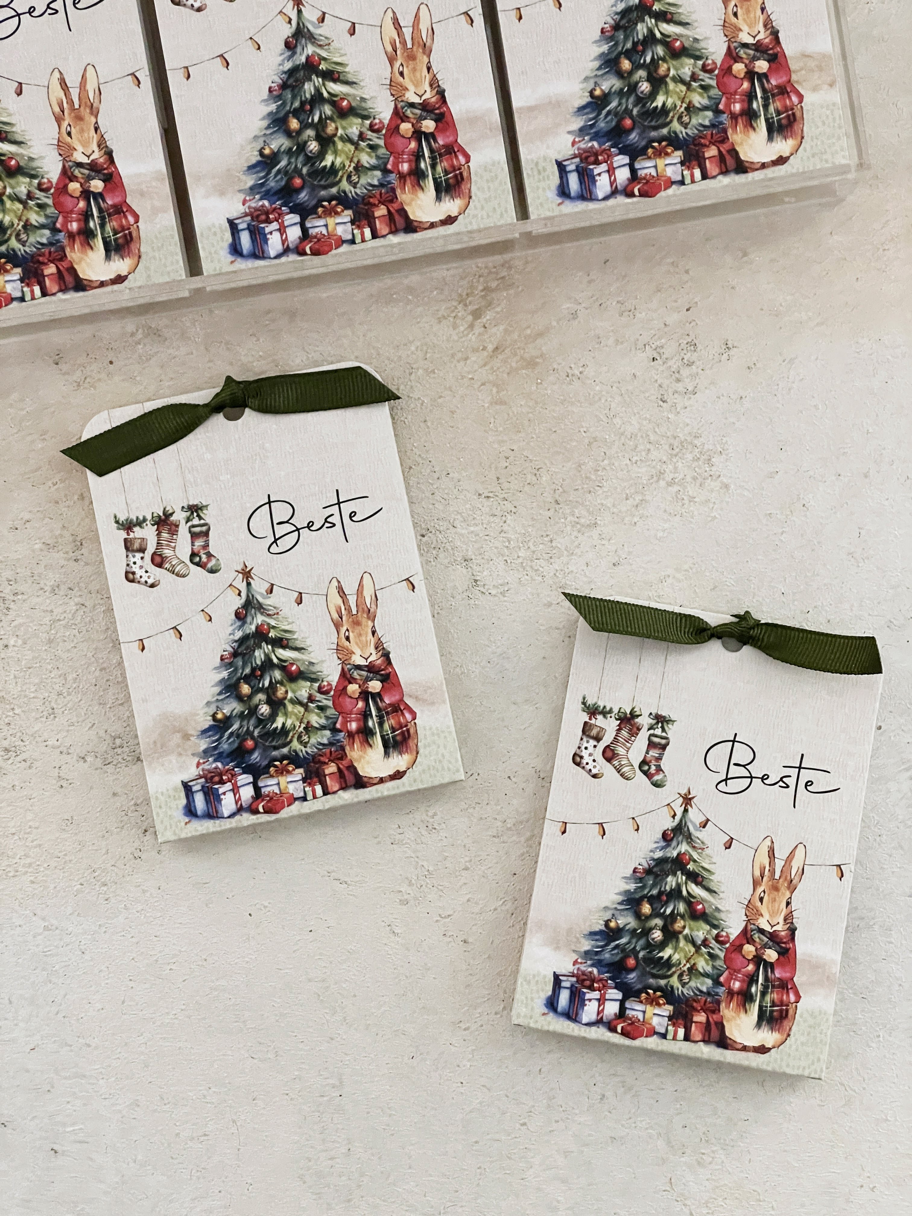 Peter Rabbit Christmas Pleksi Magnet ve Kılıfı