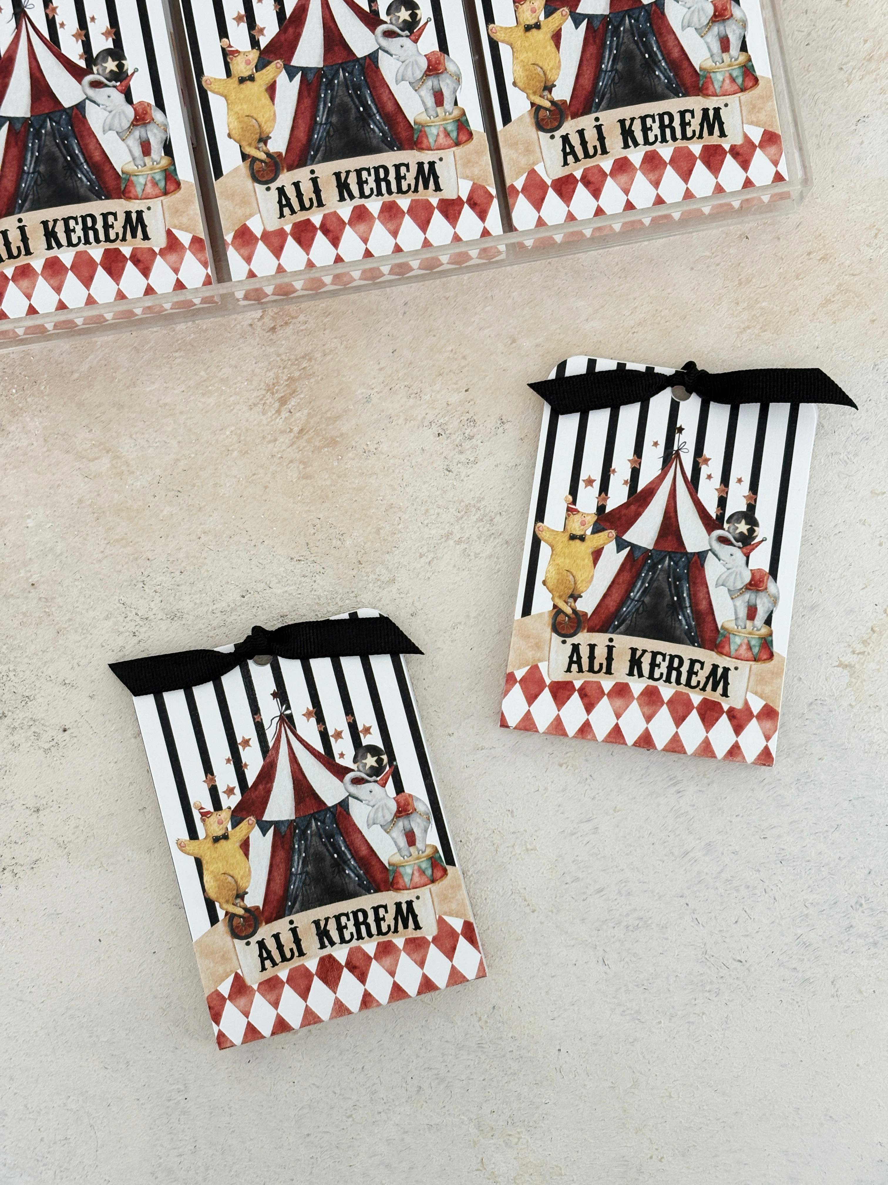 Carnival Pleksi Magnet ve Kılıfı