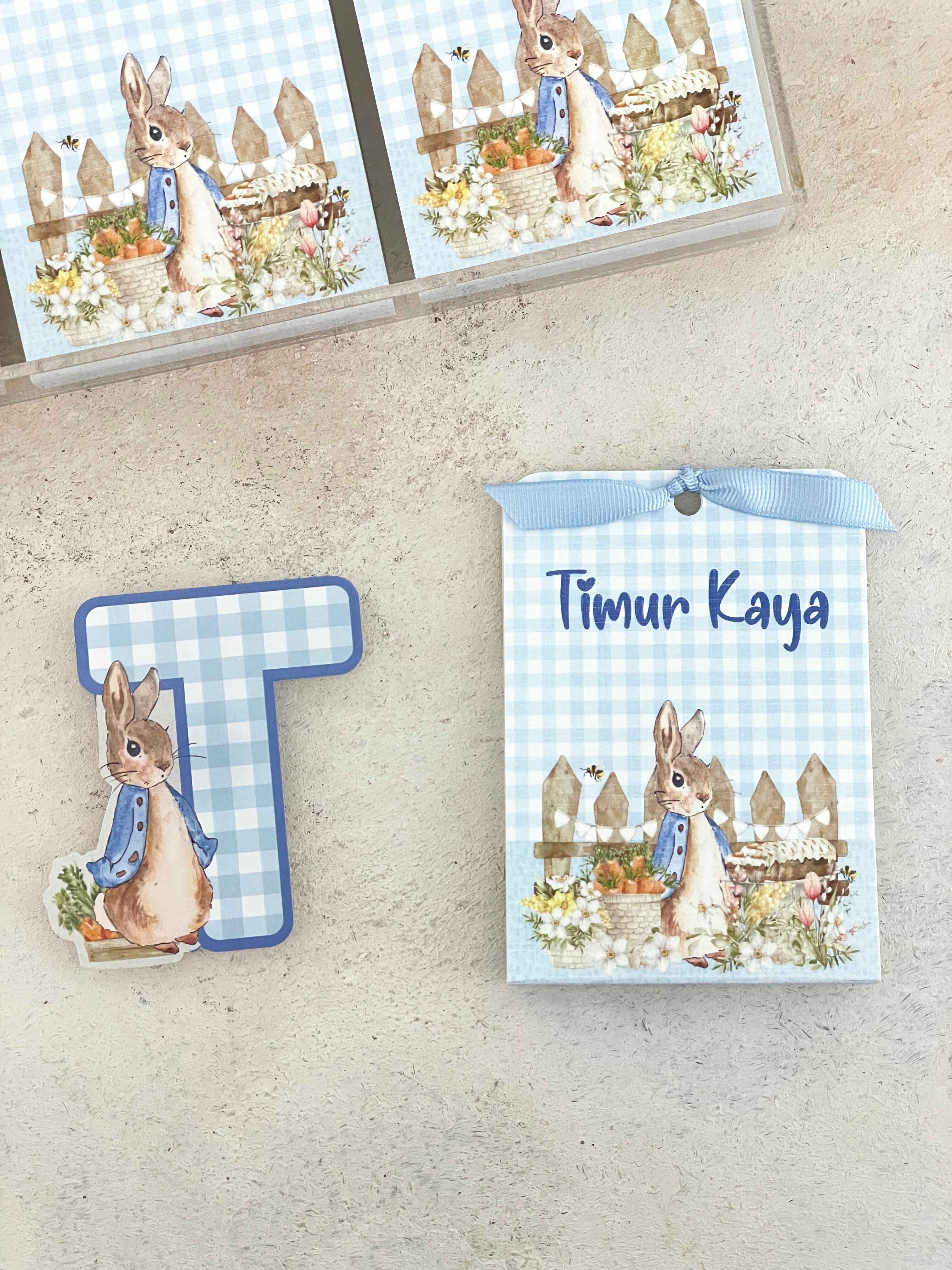 Peter Rabbit & Carrots Harf Pleksi Magnet ve Kılıfı