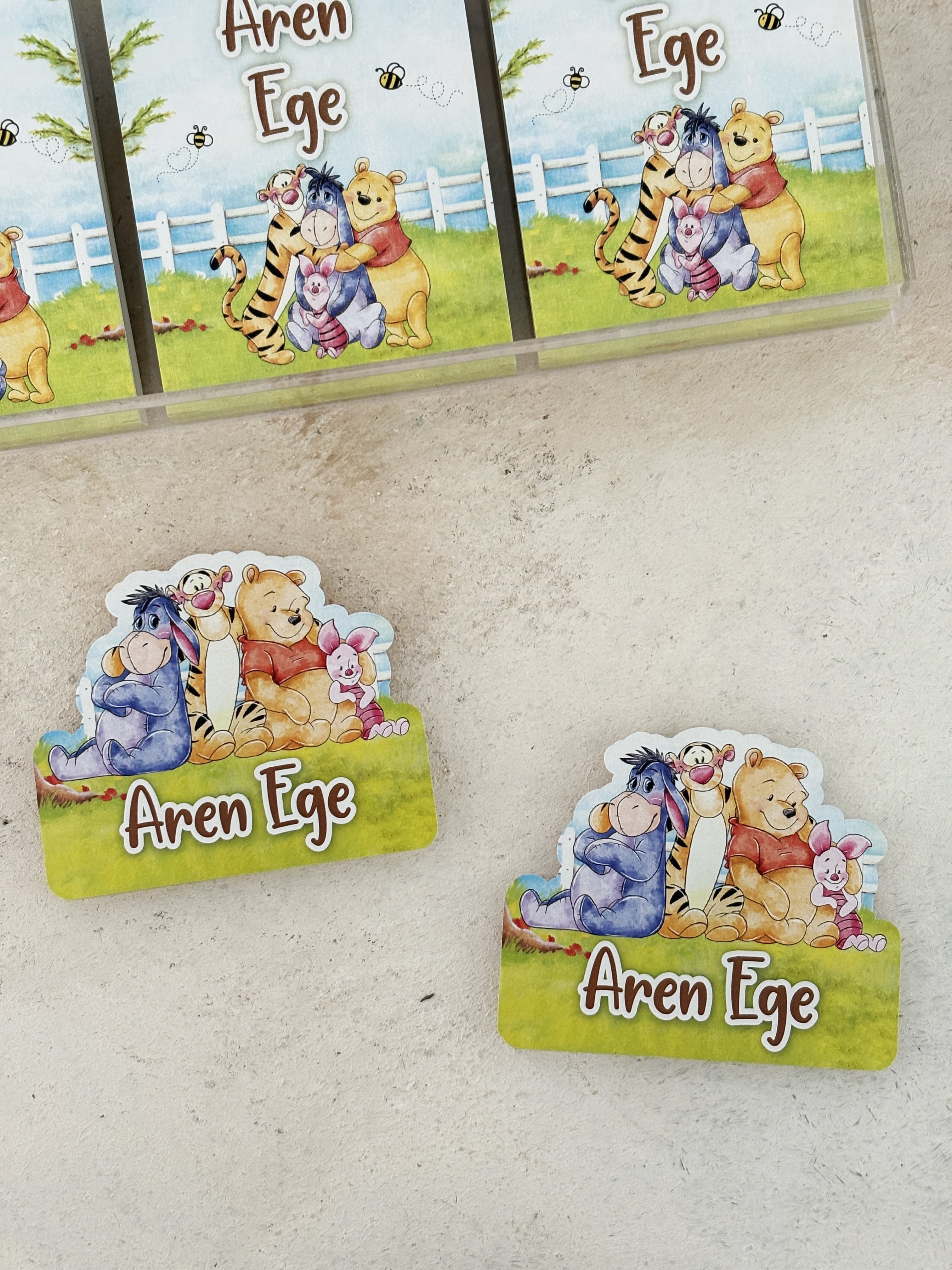 Winnie The Pooh & Friends Pleksi Magnet ve Kılıfı