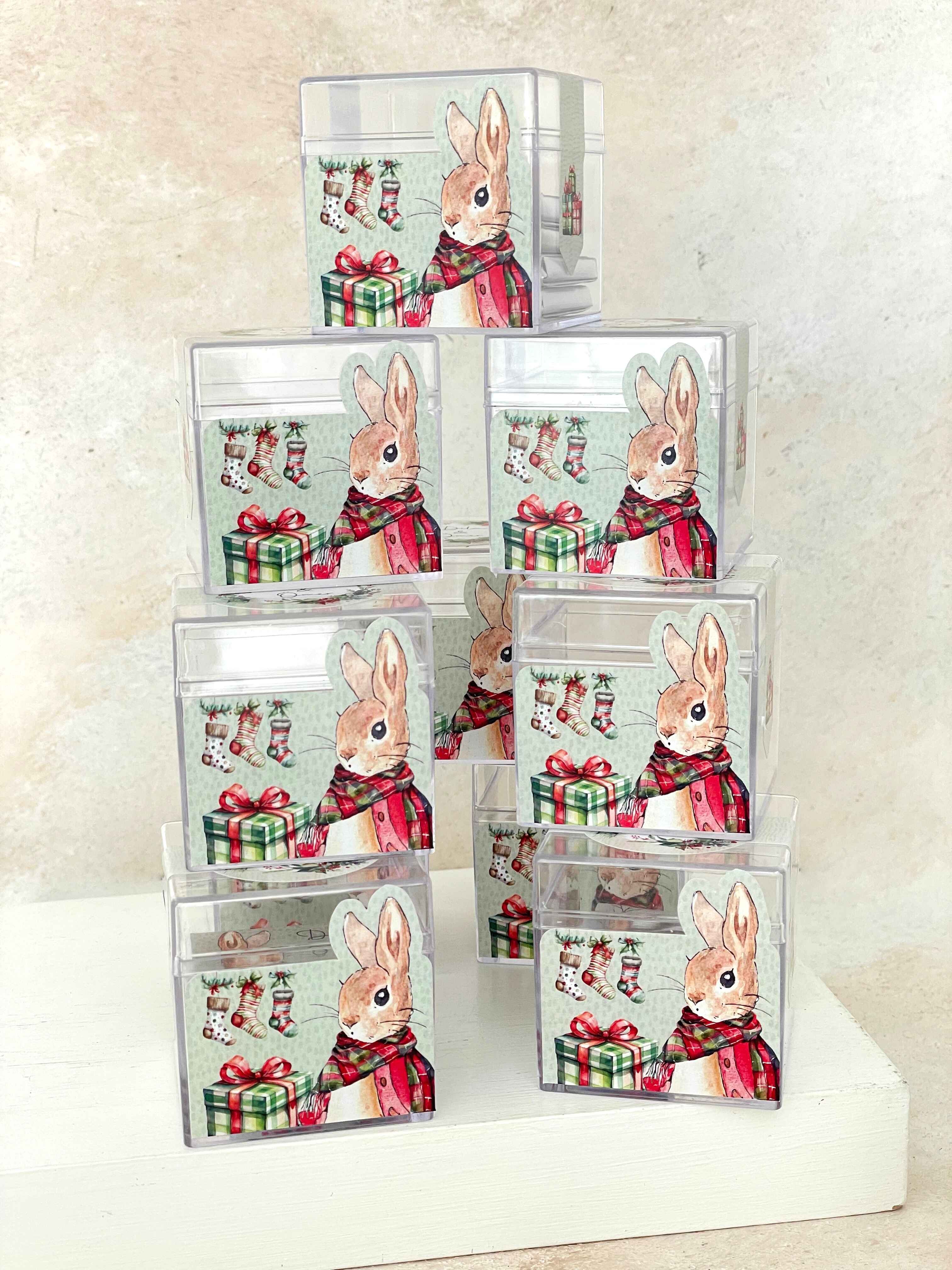 Peter Rabbit Christmas Mika Çikolata Küpü