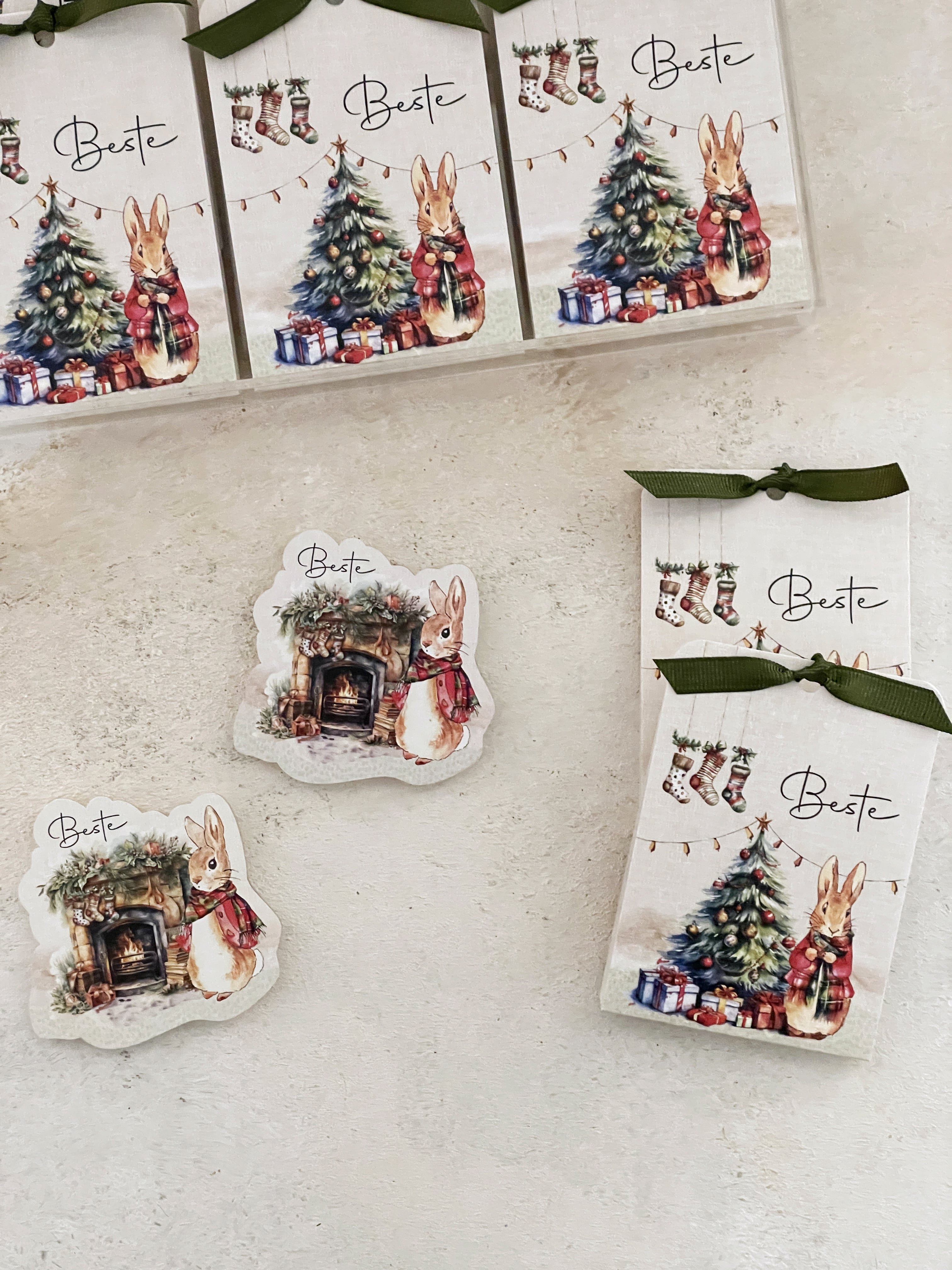 Peter Rabbit Christmas Pleksi Magnet ve Kılıfı