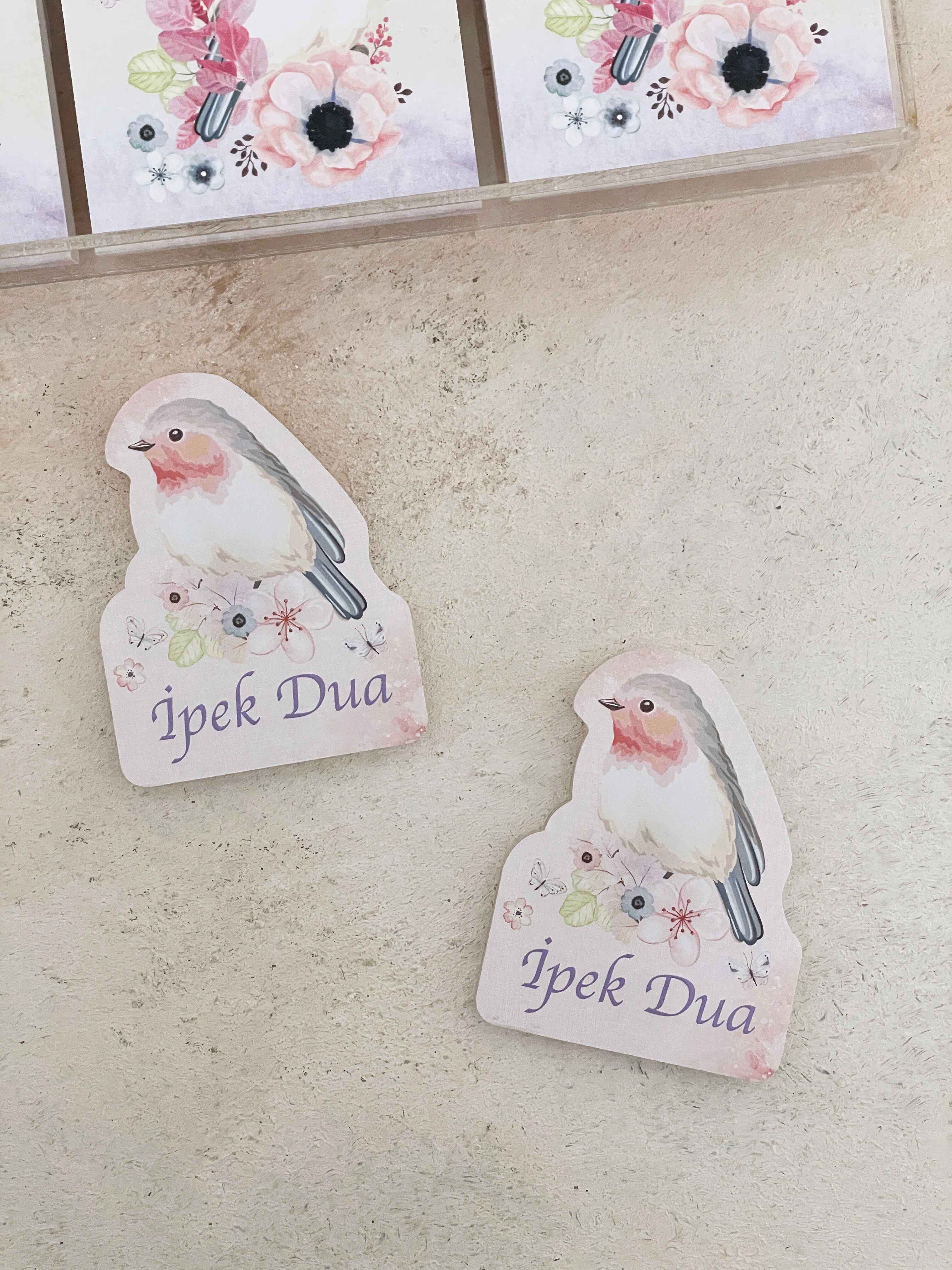 Robin Bird & Flowers Pleksi Magnet ve Kılıfı