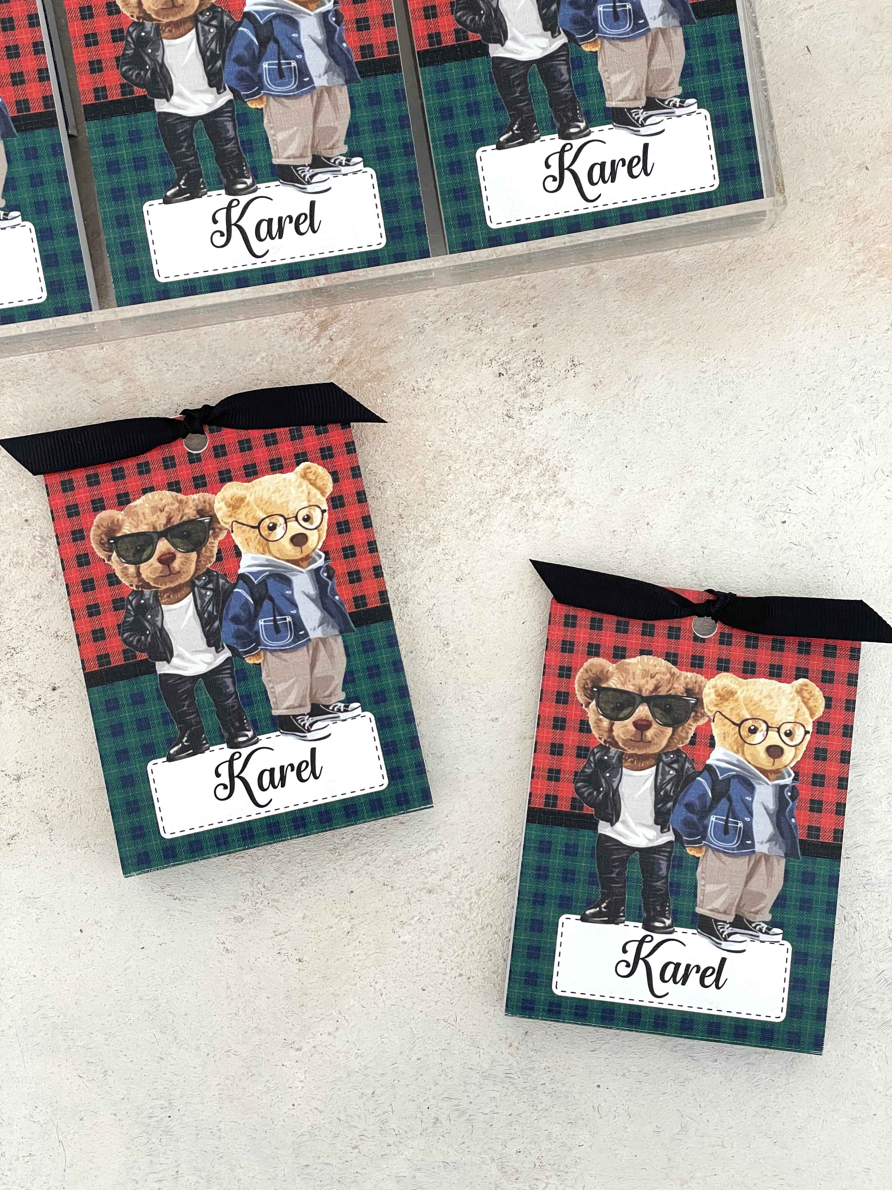 Polo Bear Kırmızı/Yeşil Pleksi Magnet ve Kılıfı