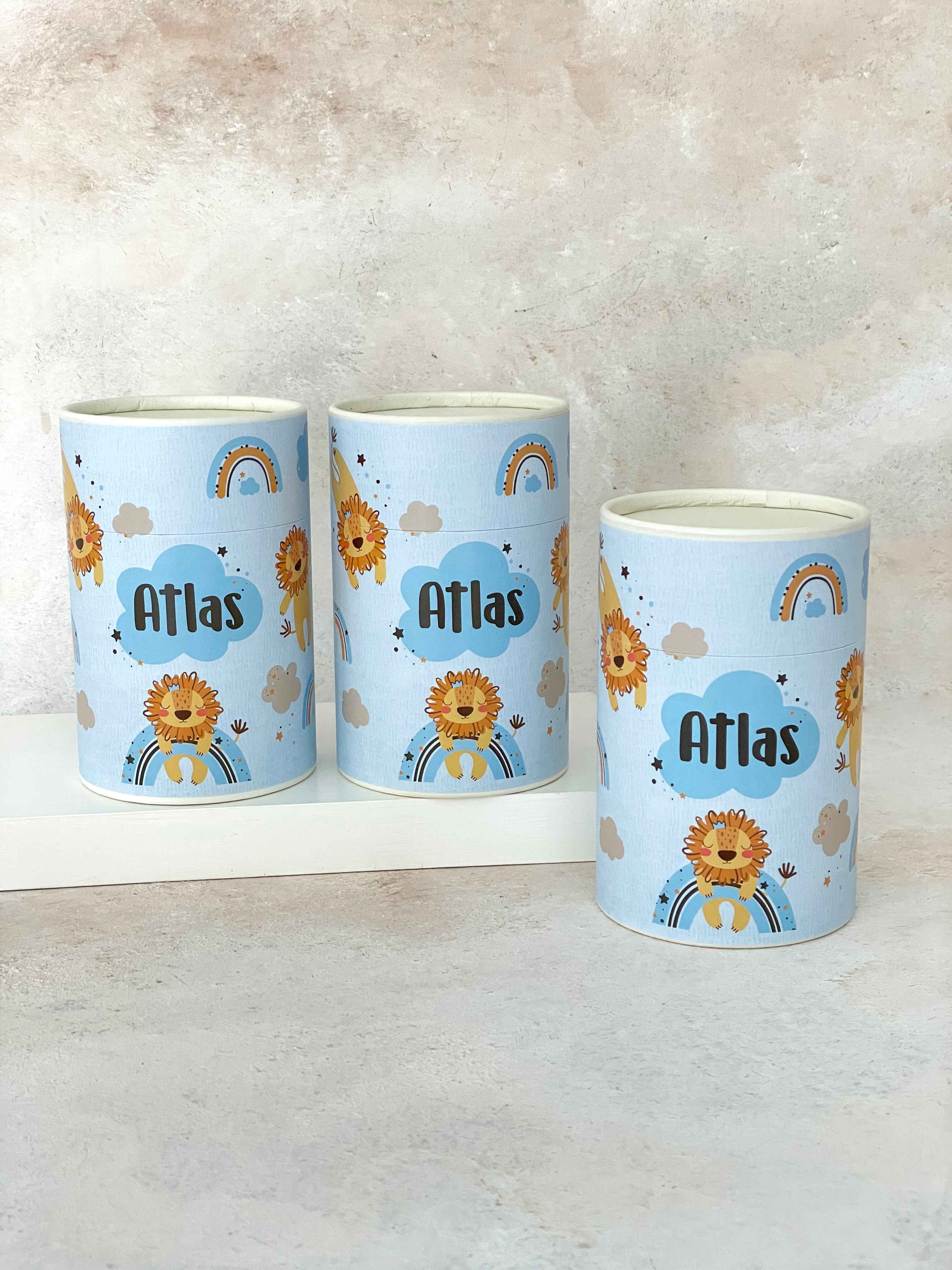 Aslan & Gökkuşağı Mavi Kaplama Silindir Kutu