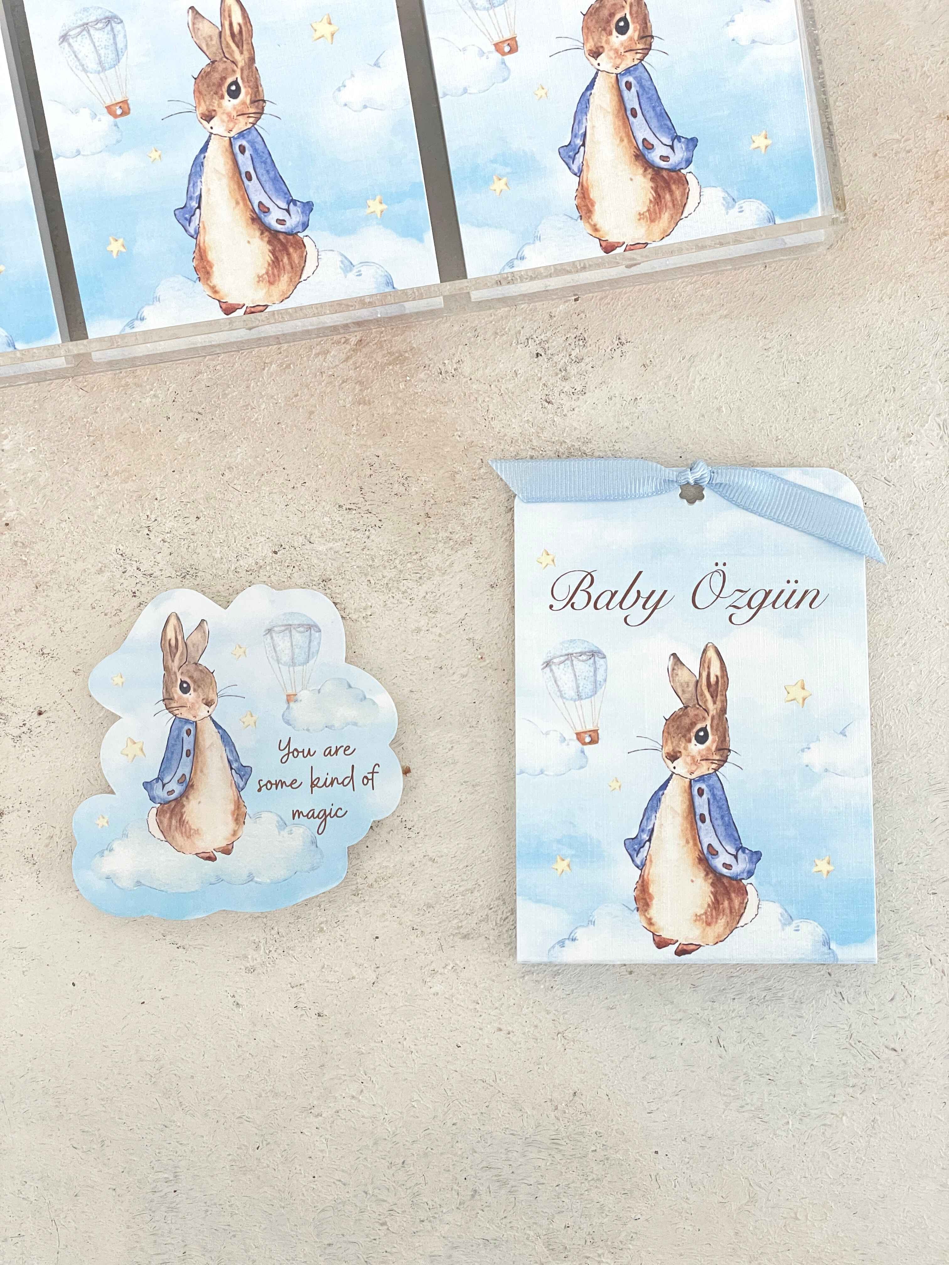 Peter Rabbit on Clouds Pleksi Magnet ve Kılıfı