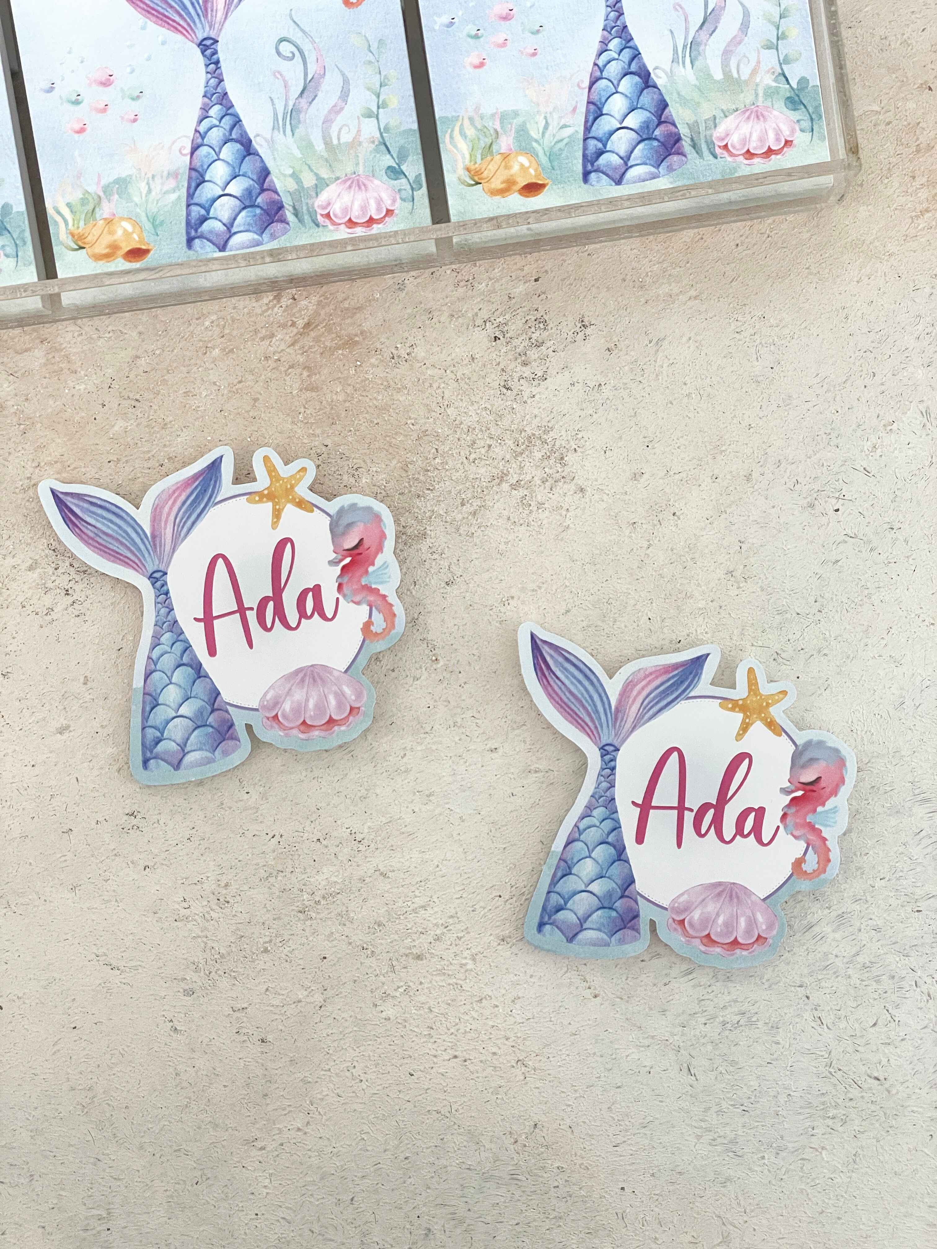 Mermaid Tail Pleksi Magnet ve Kılıfı