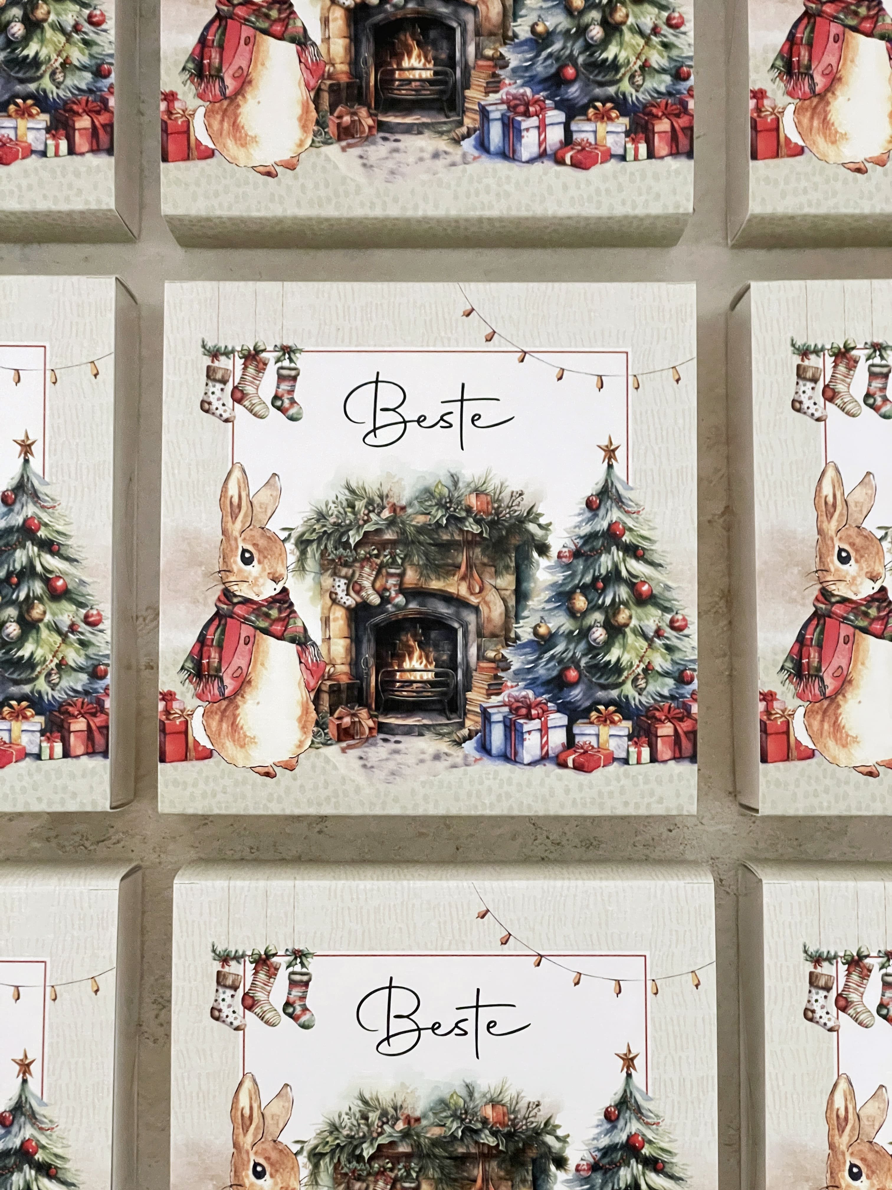 Peter Rabbit Christmas Hediye Seti