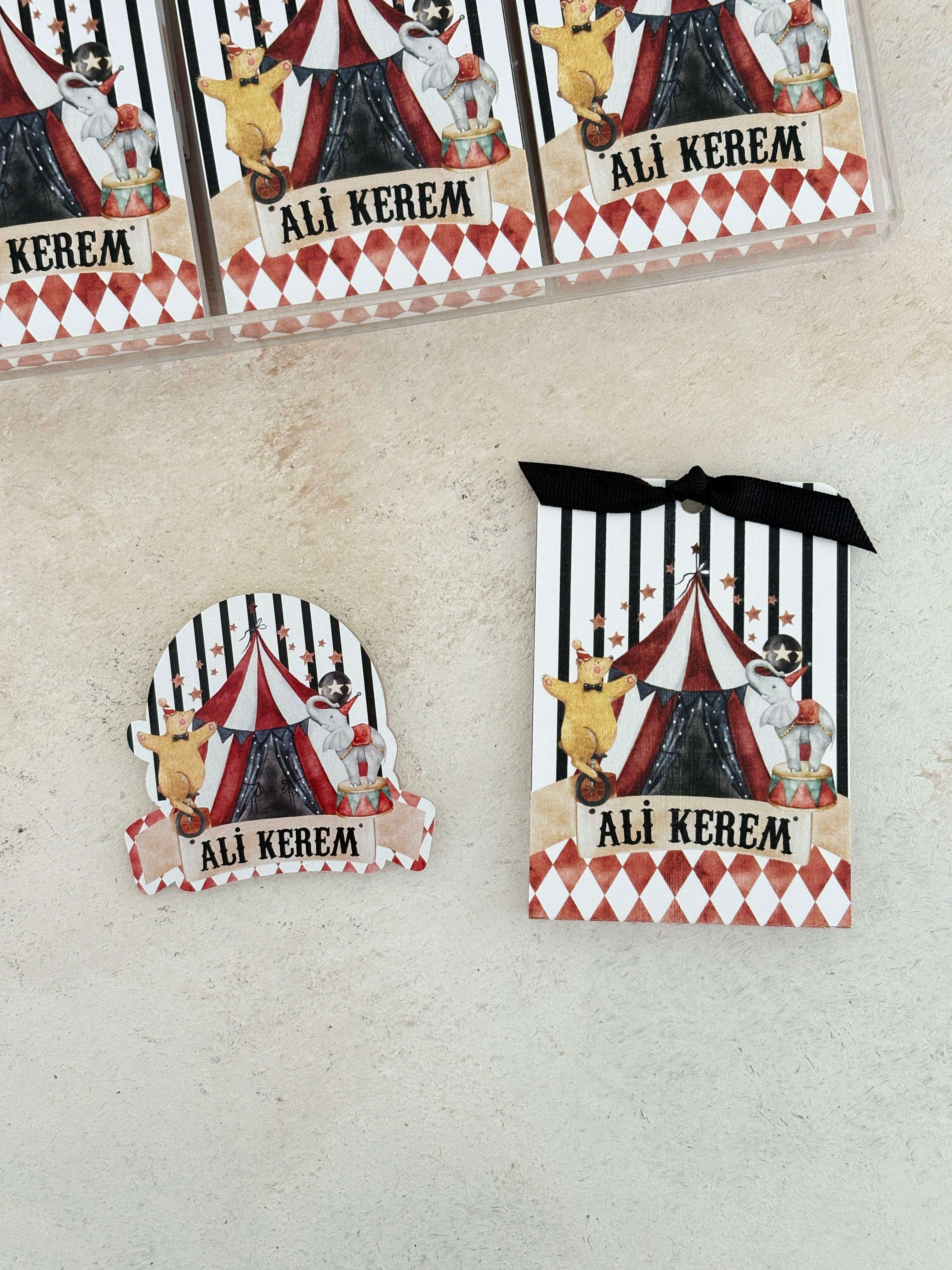 Carnival Pleksi Magnet ve Kılıfı
