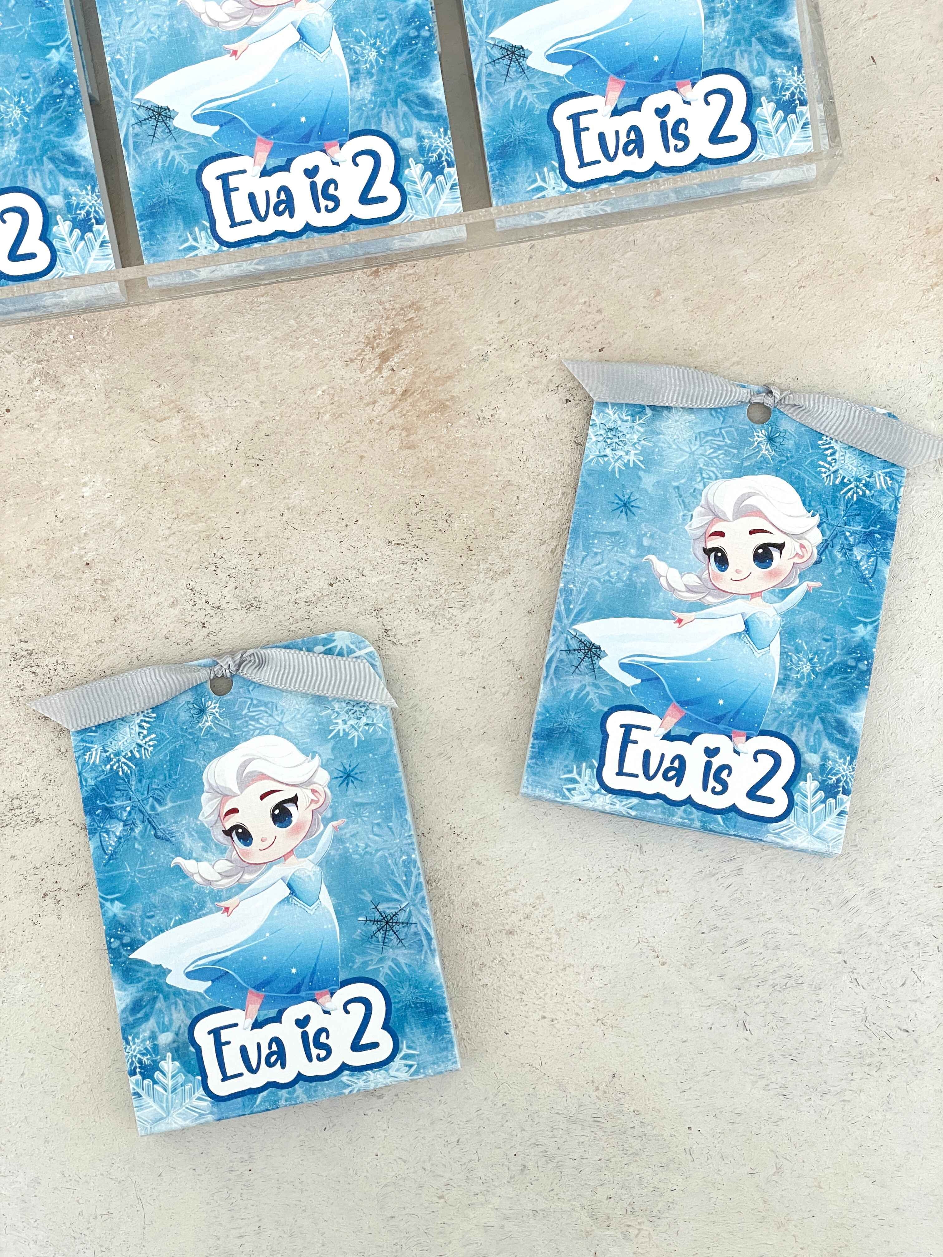 Elsa Magnet ve Kılıfı