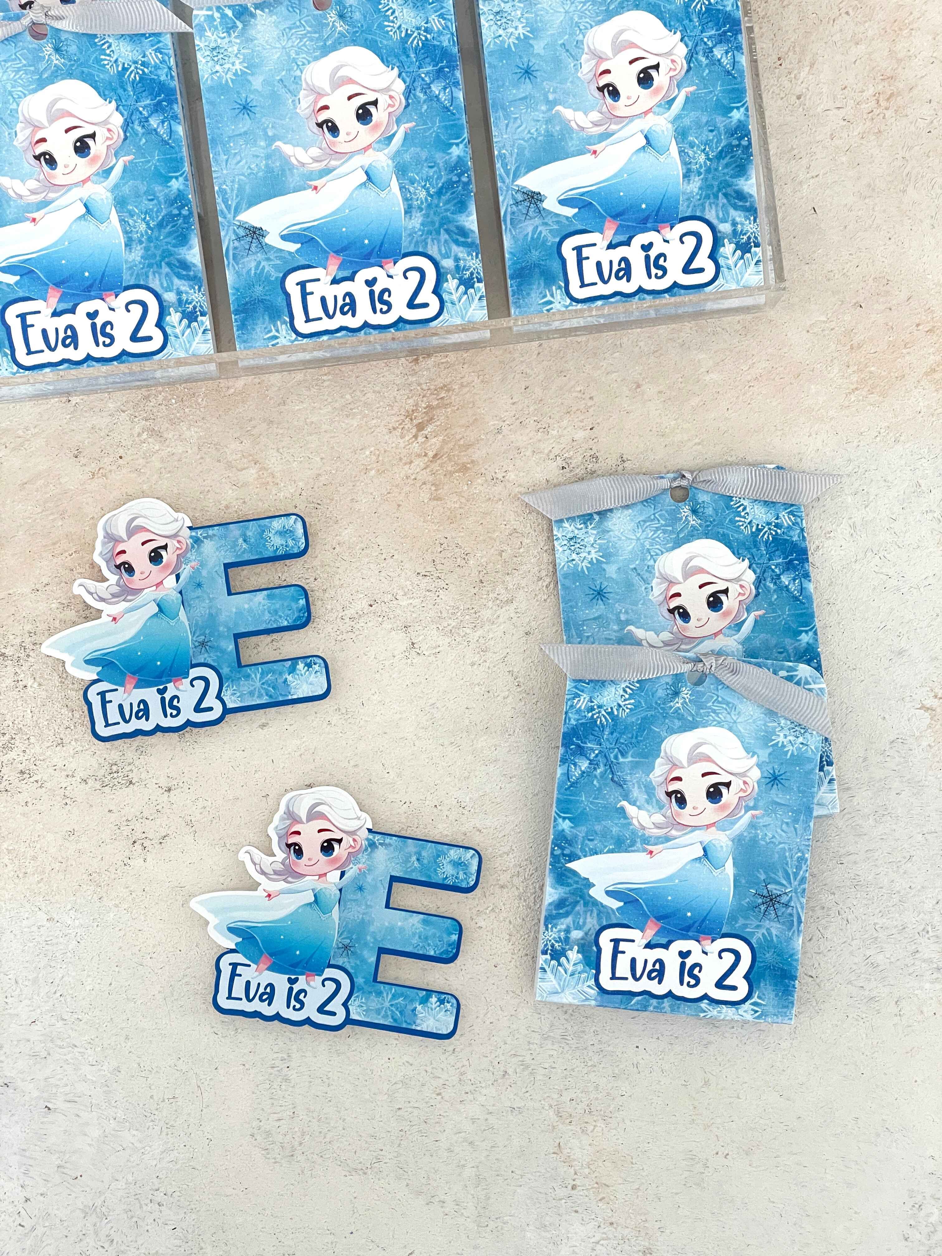 Elsa Magnet ve Kılıfı