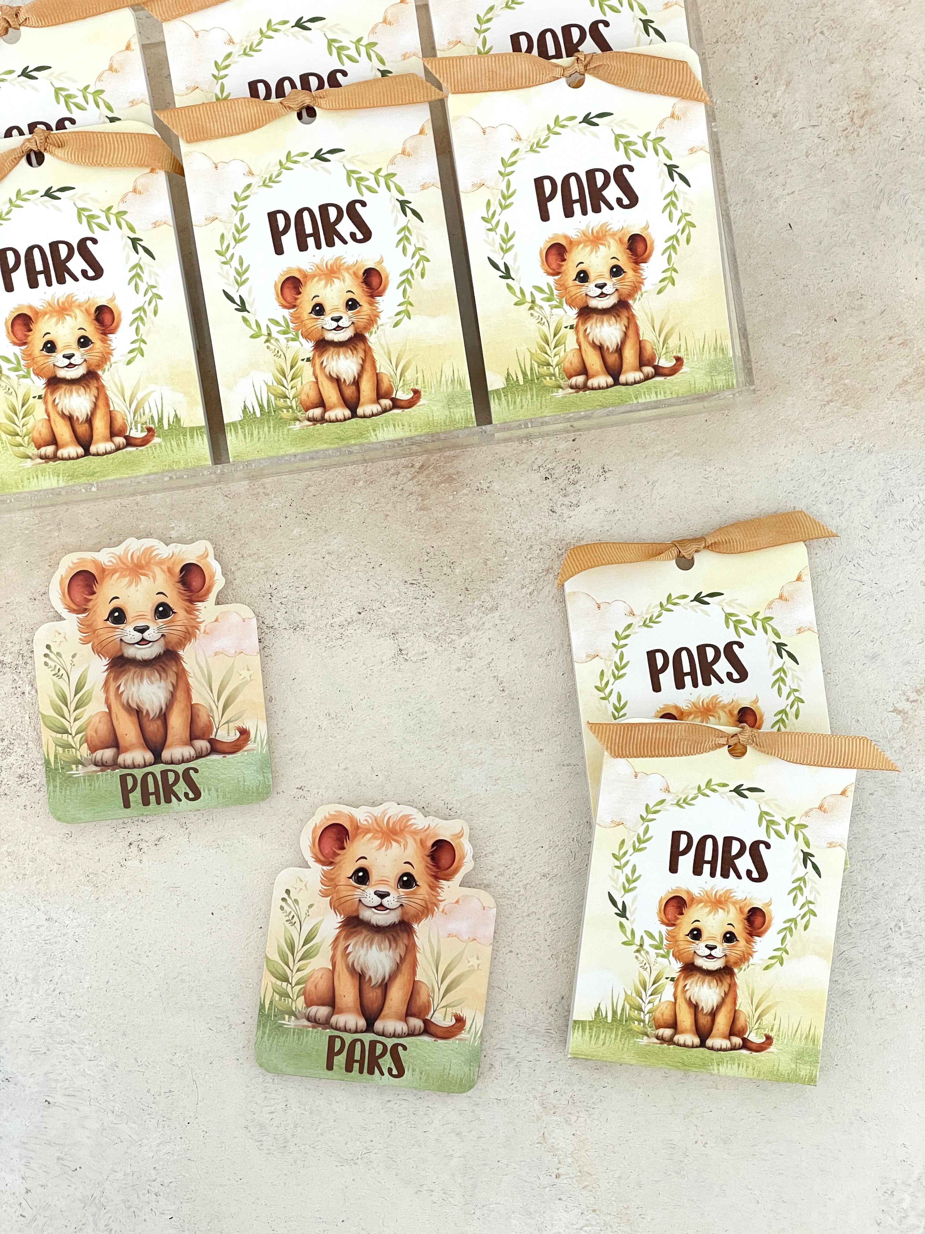Cute Baby Lion Magnet ve Kılıfı