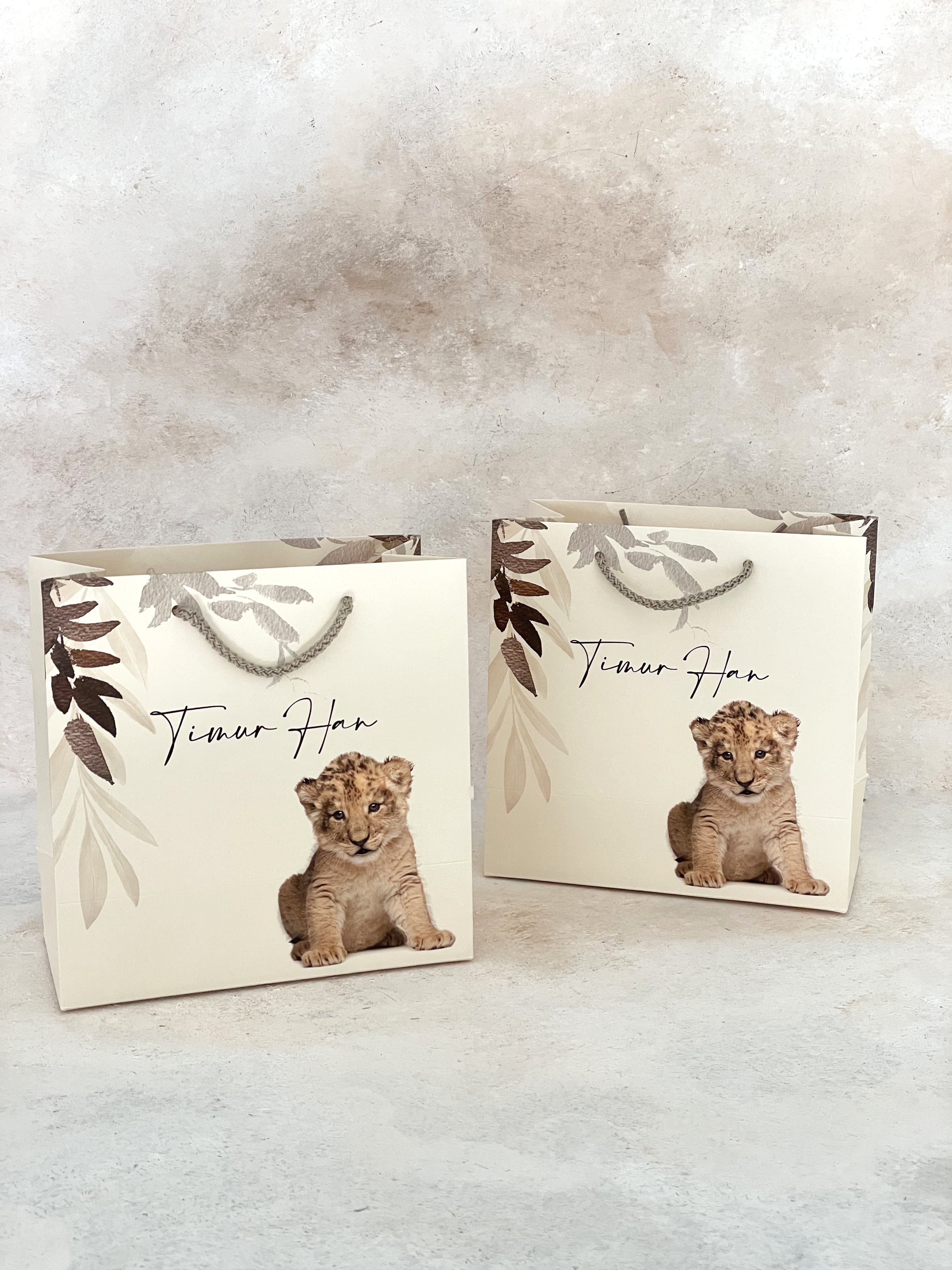 Baby Lion Hediye Çantası