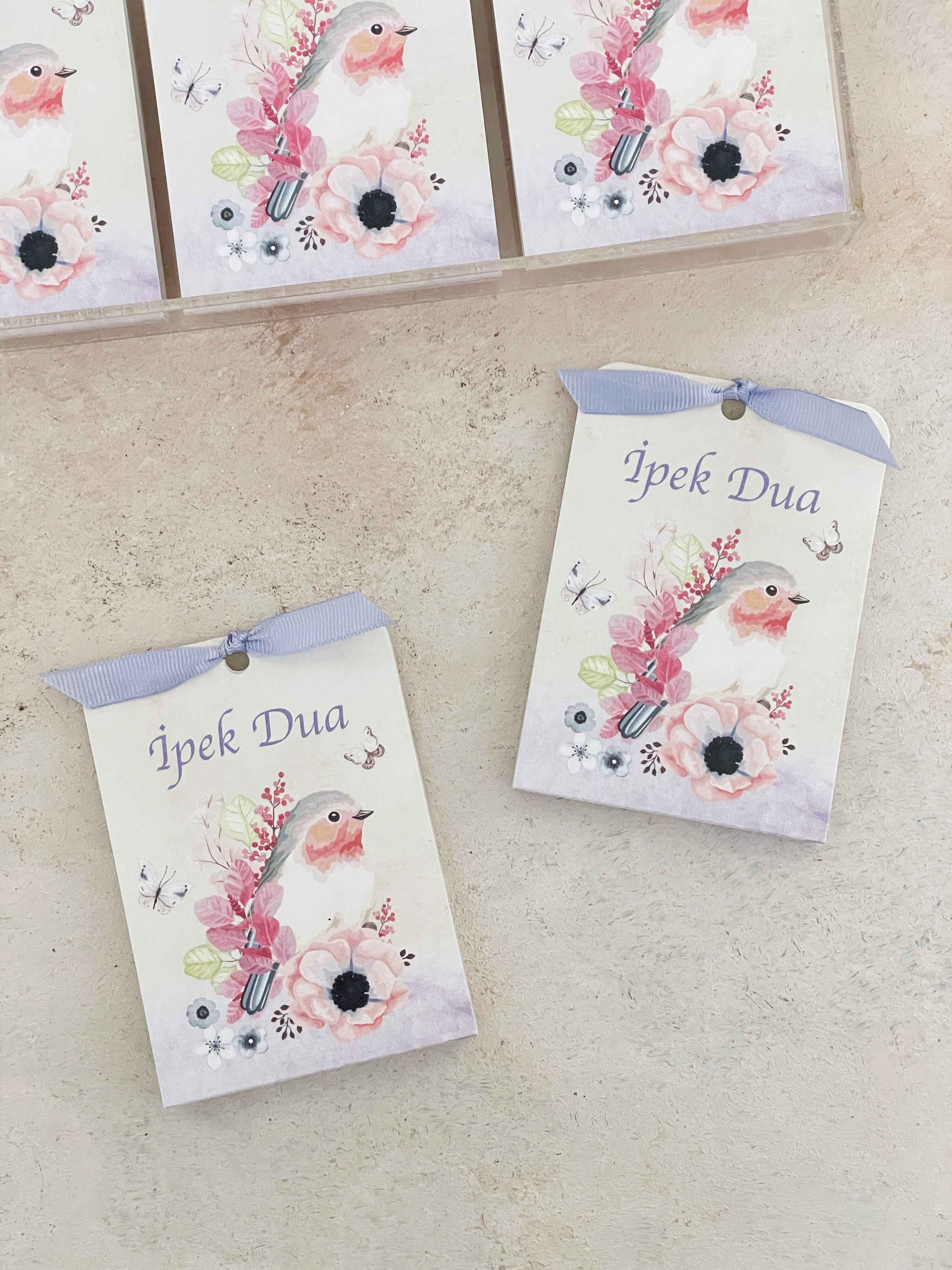 Robin Bird & Flowers Pleksi Magnet ve Kılıfı
