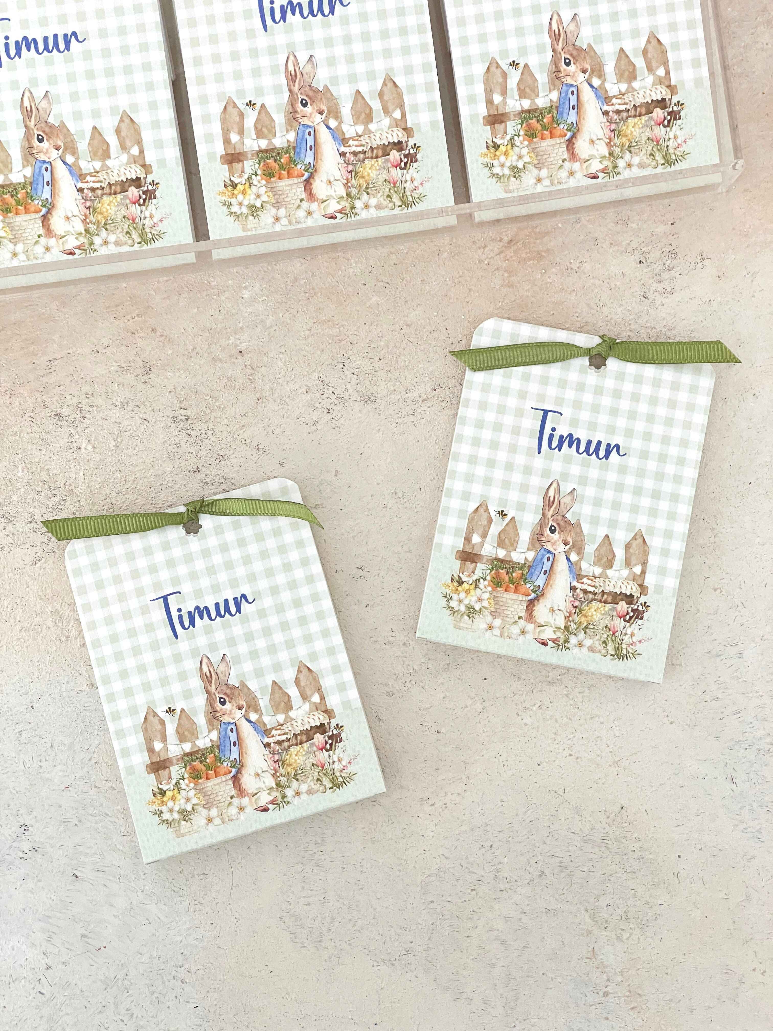 Peter Rabbit & Carrots Harf Pleksi Magnet ve Kılıfı