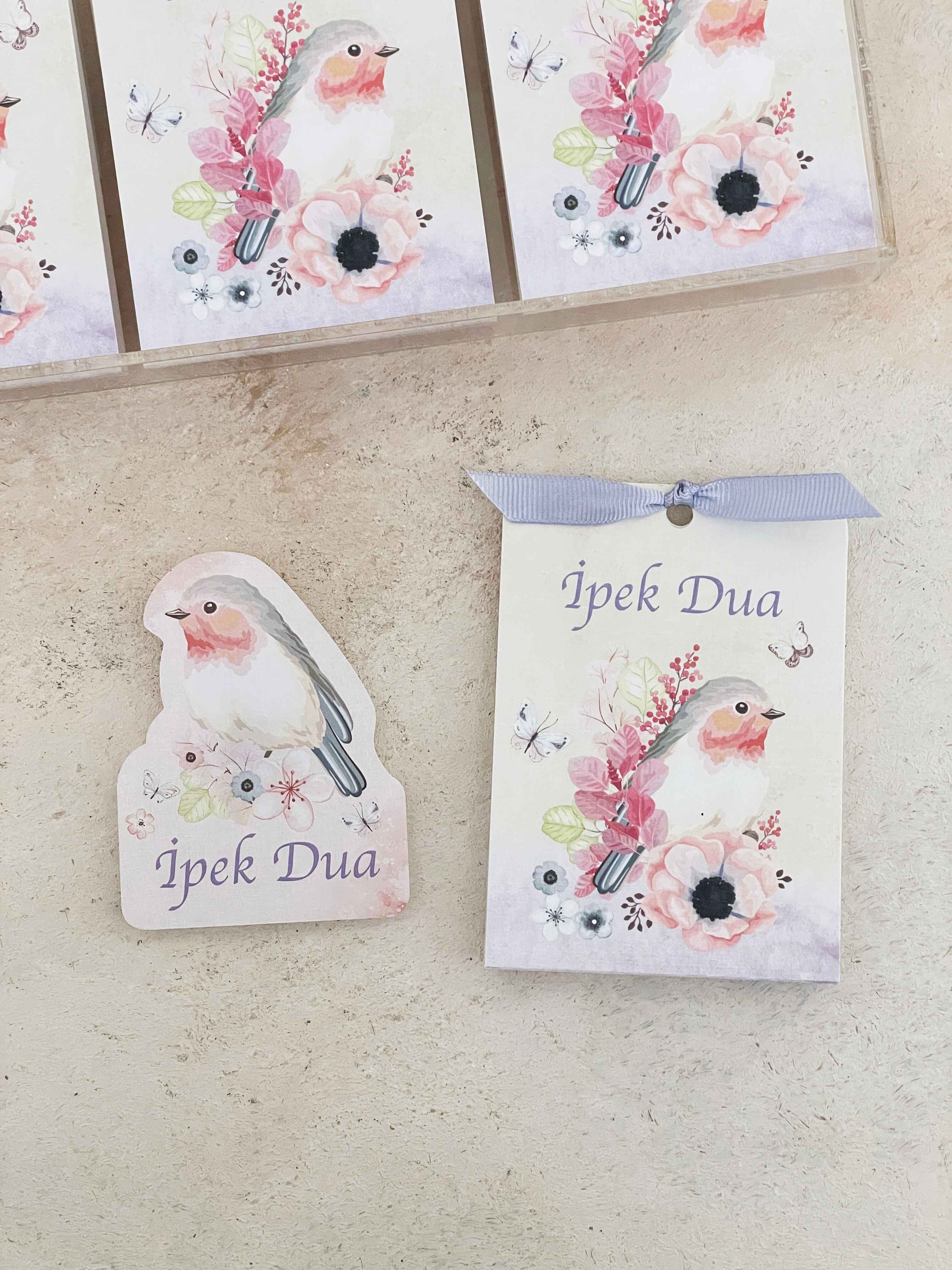 Robin Bird & Flowers Pleksi Magnet ve Kılıfı