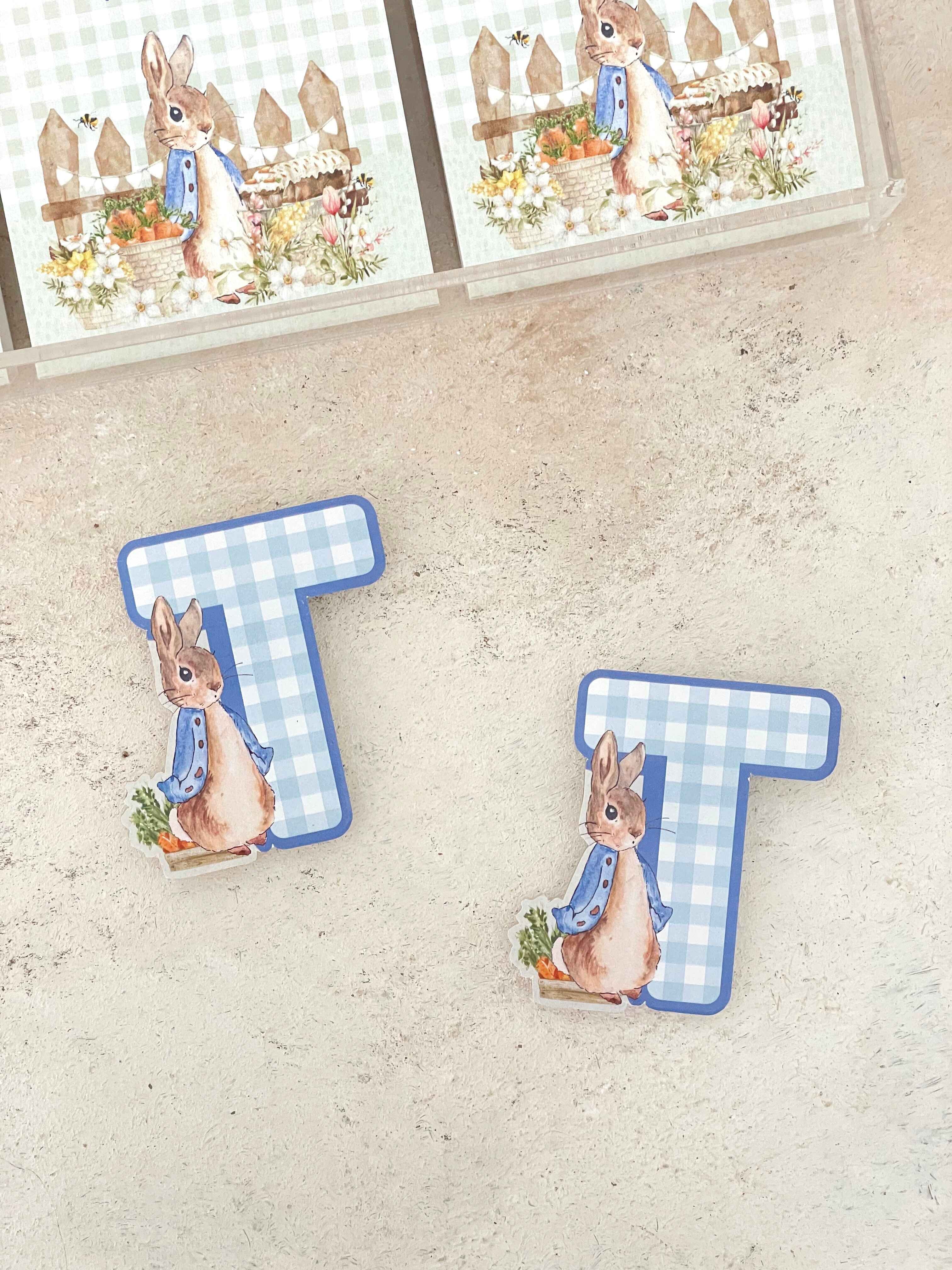 Peter Rabbit & Carrots Harf Pleksi Magnet ve Kılıfı
