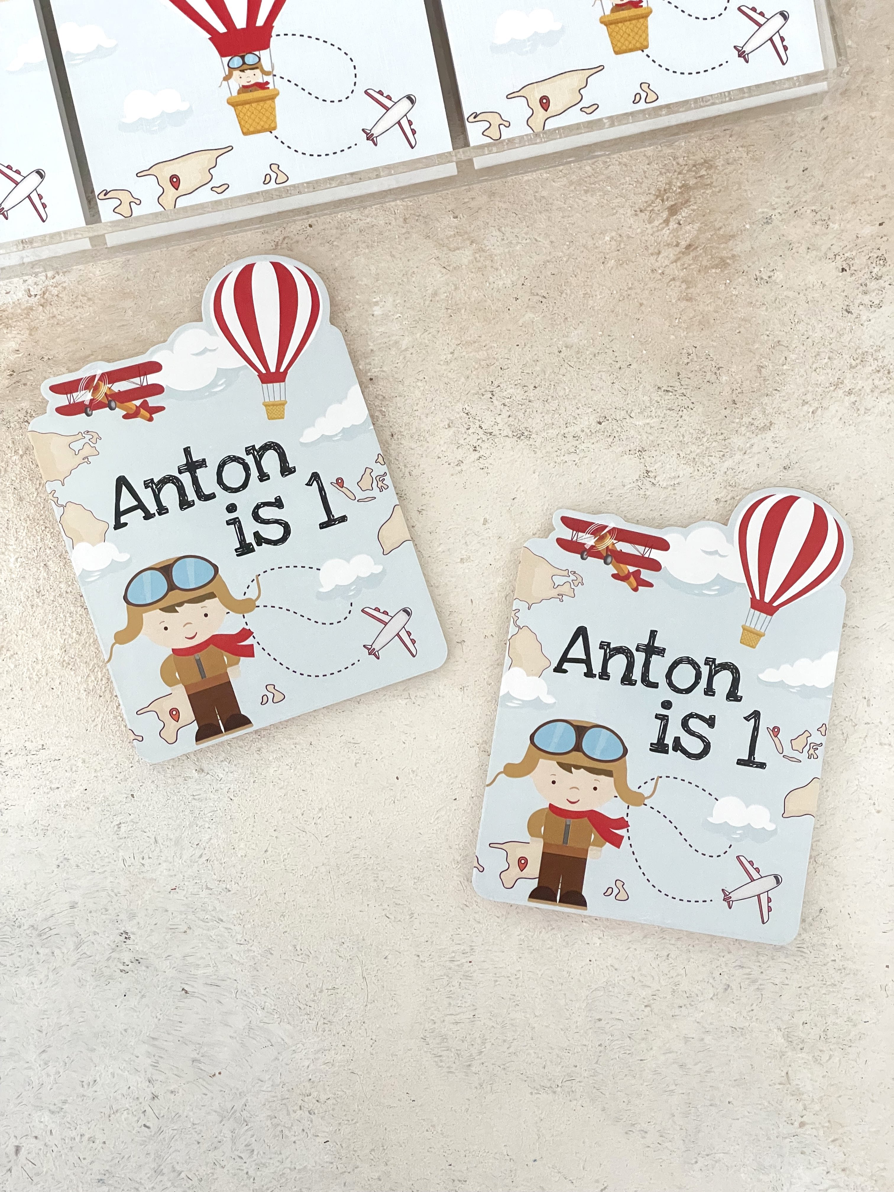 Pilot Magnet ve Kılıfı
