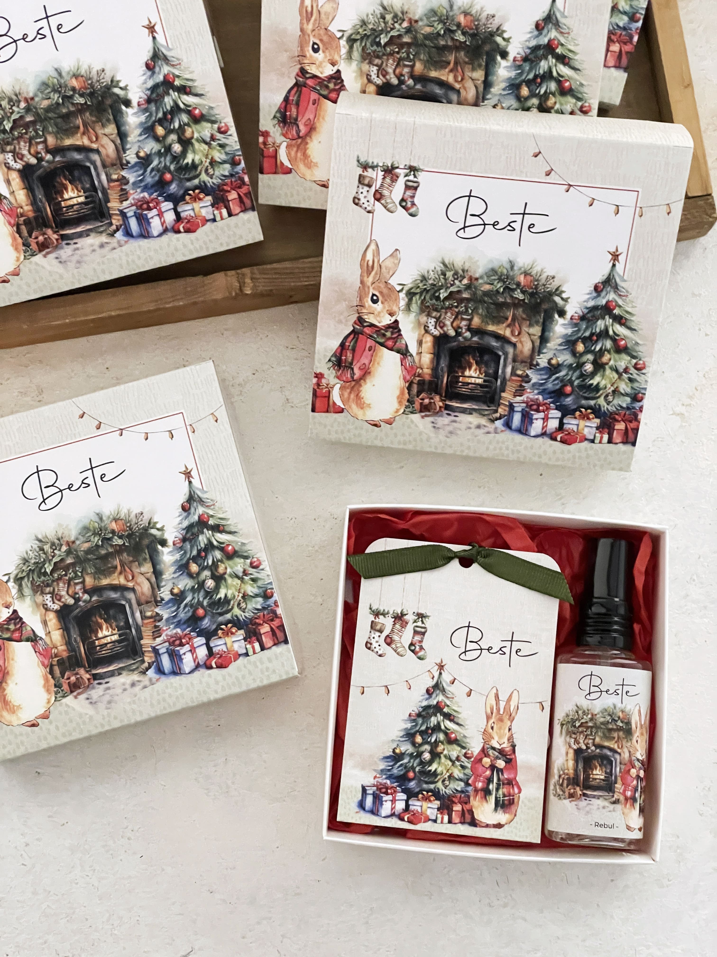 Peter Rabbit Christmas Hediye Seti