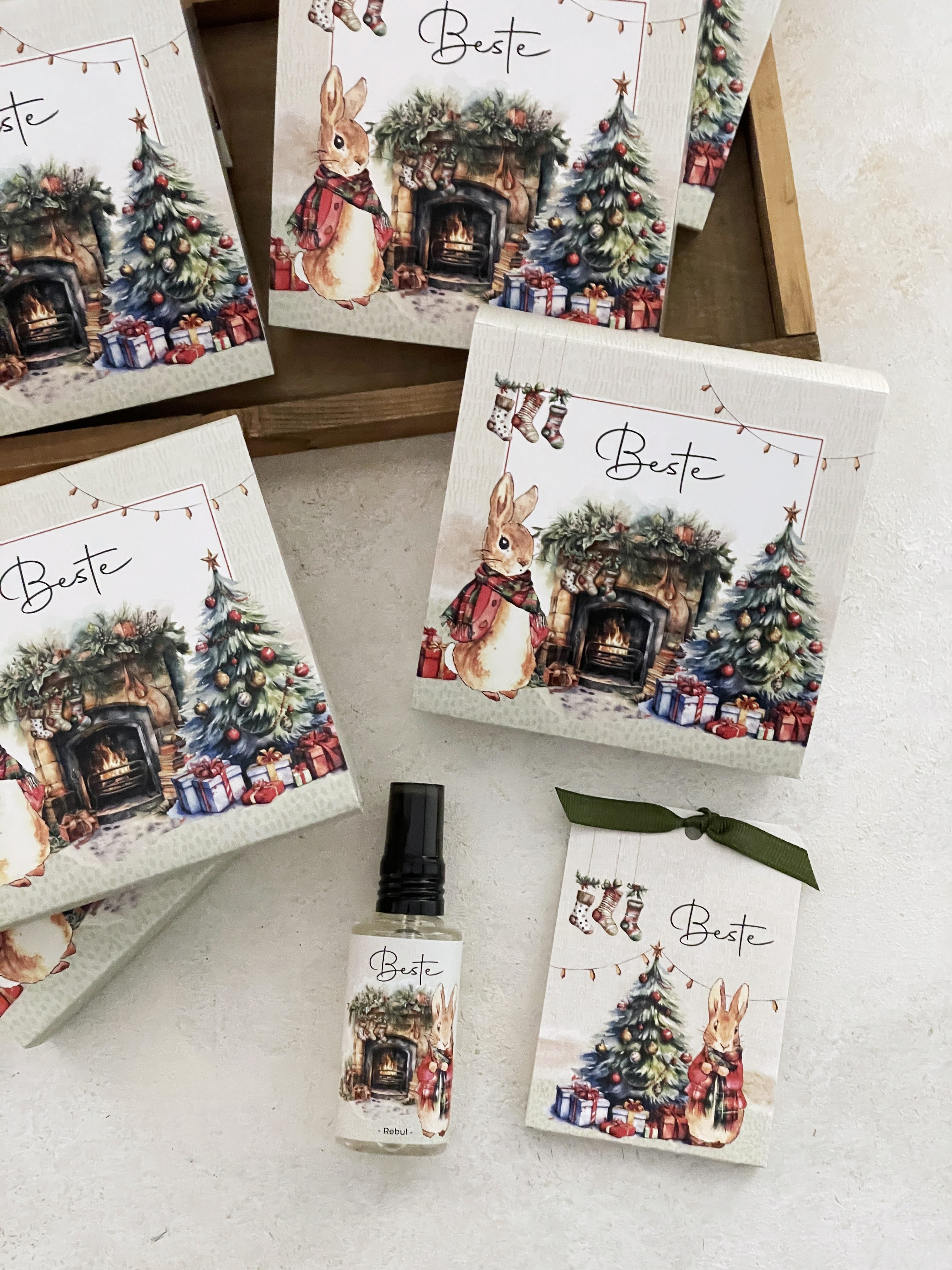 Peter Rabbit Christmas Hediye Seti