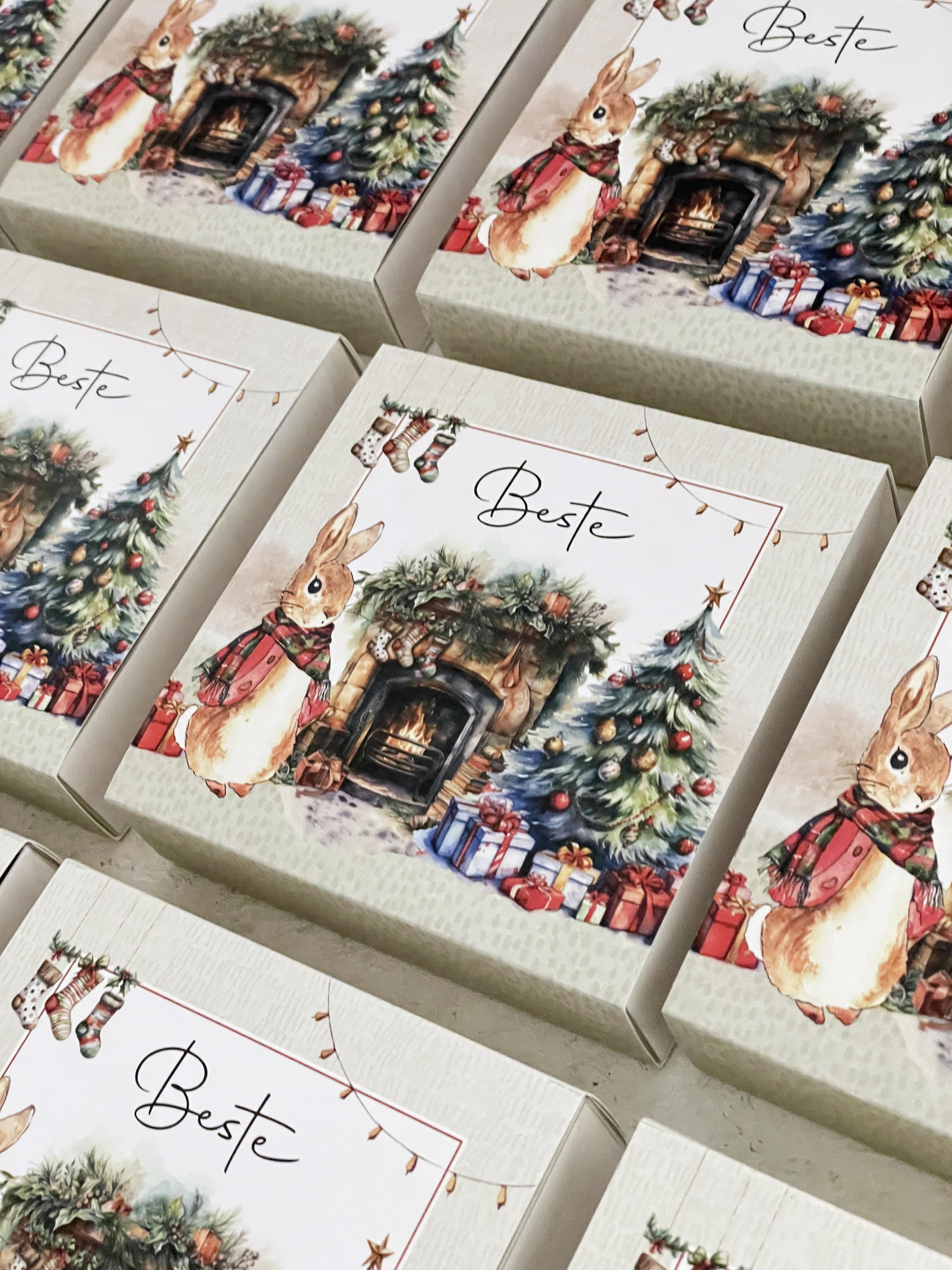 Peter Rabbit Christmas Hediye Seti