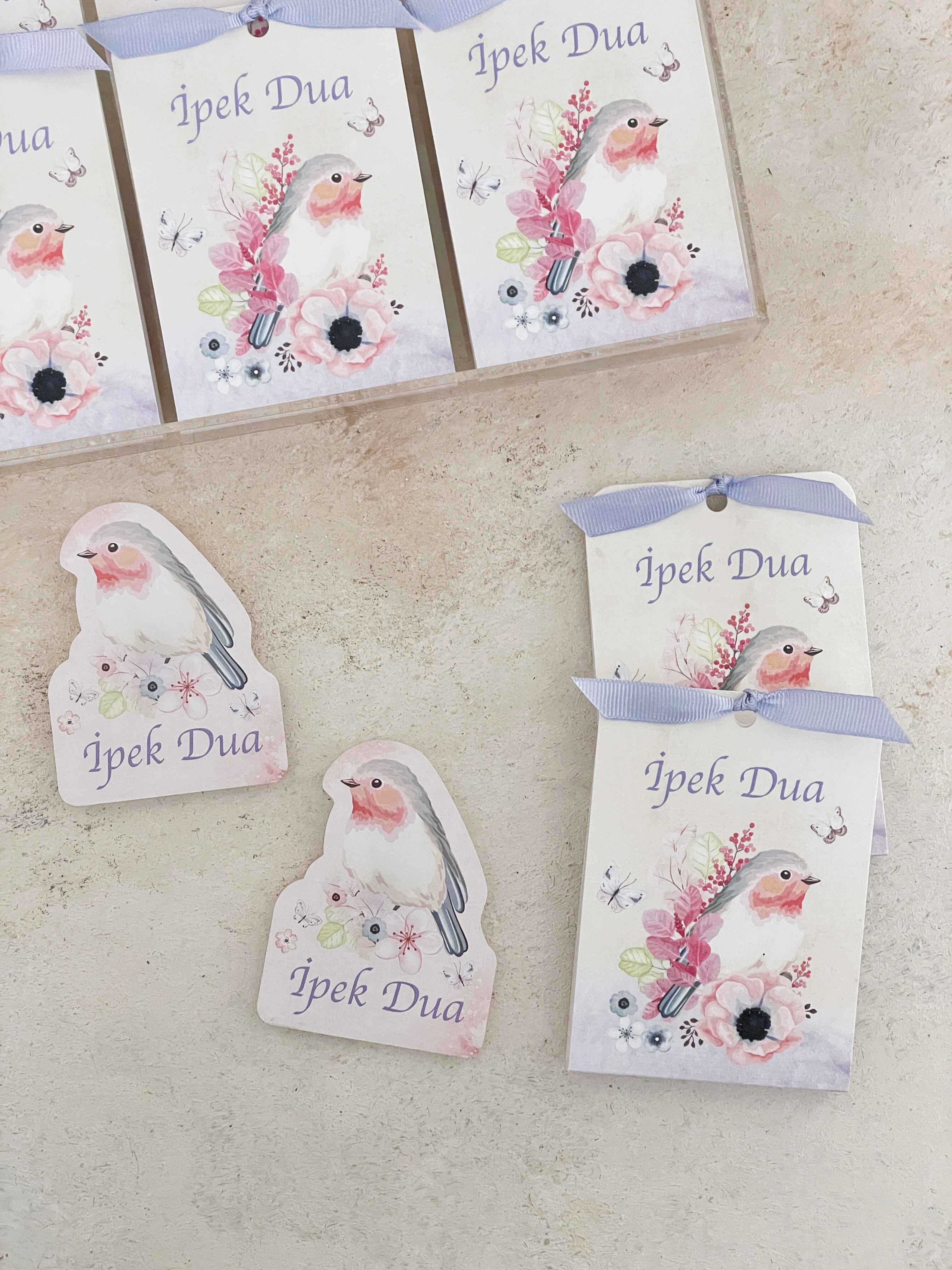Robin Bird & Flowers Pleksi Magnet ve Kılıfı