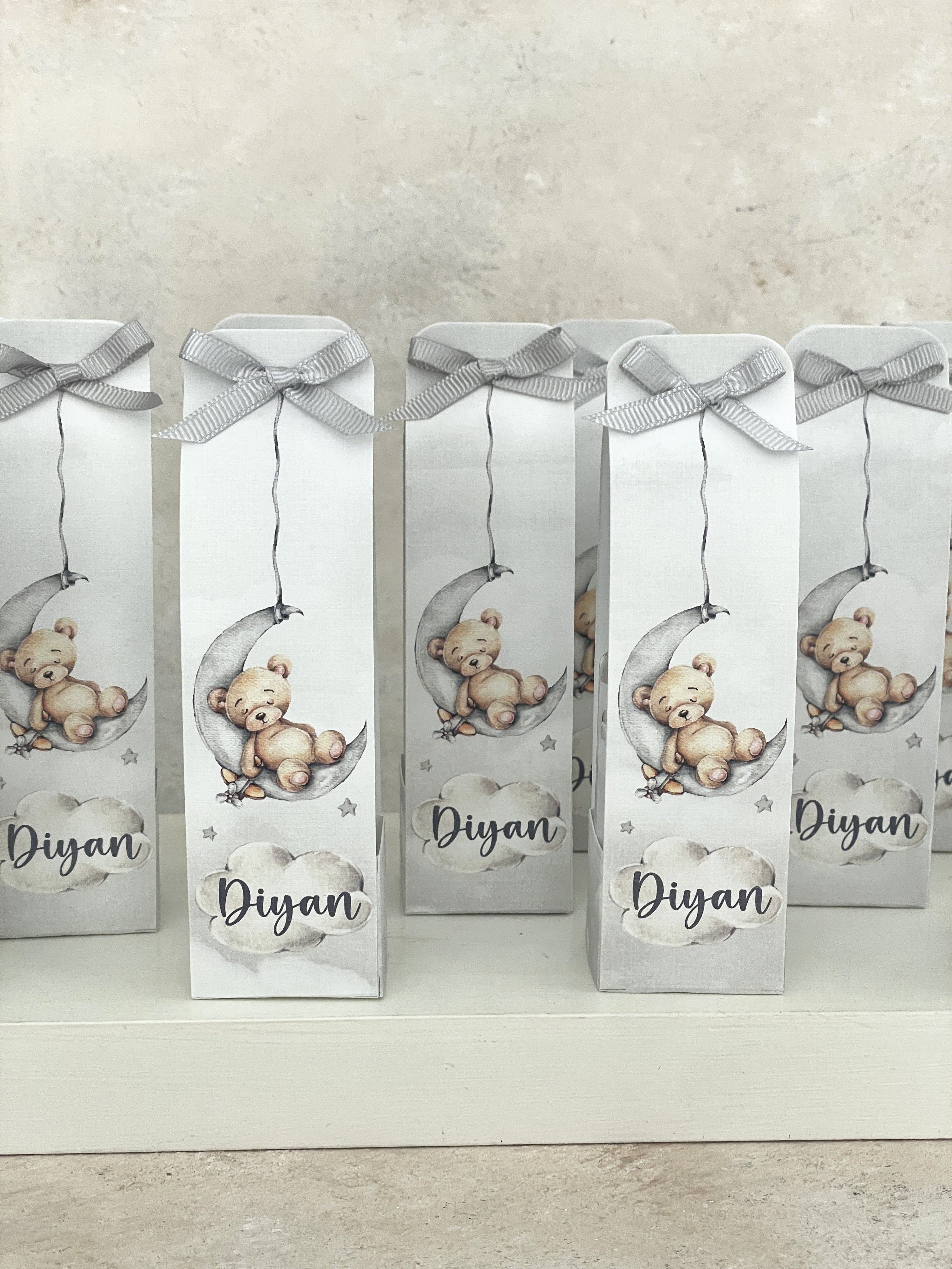 Teddy on Moon Grey Kolonya ve Kılıfı