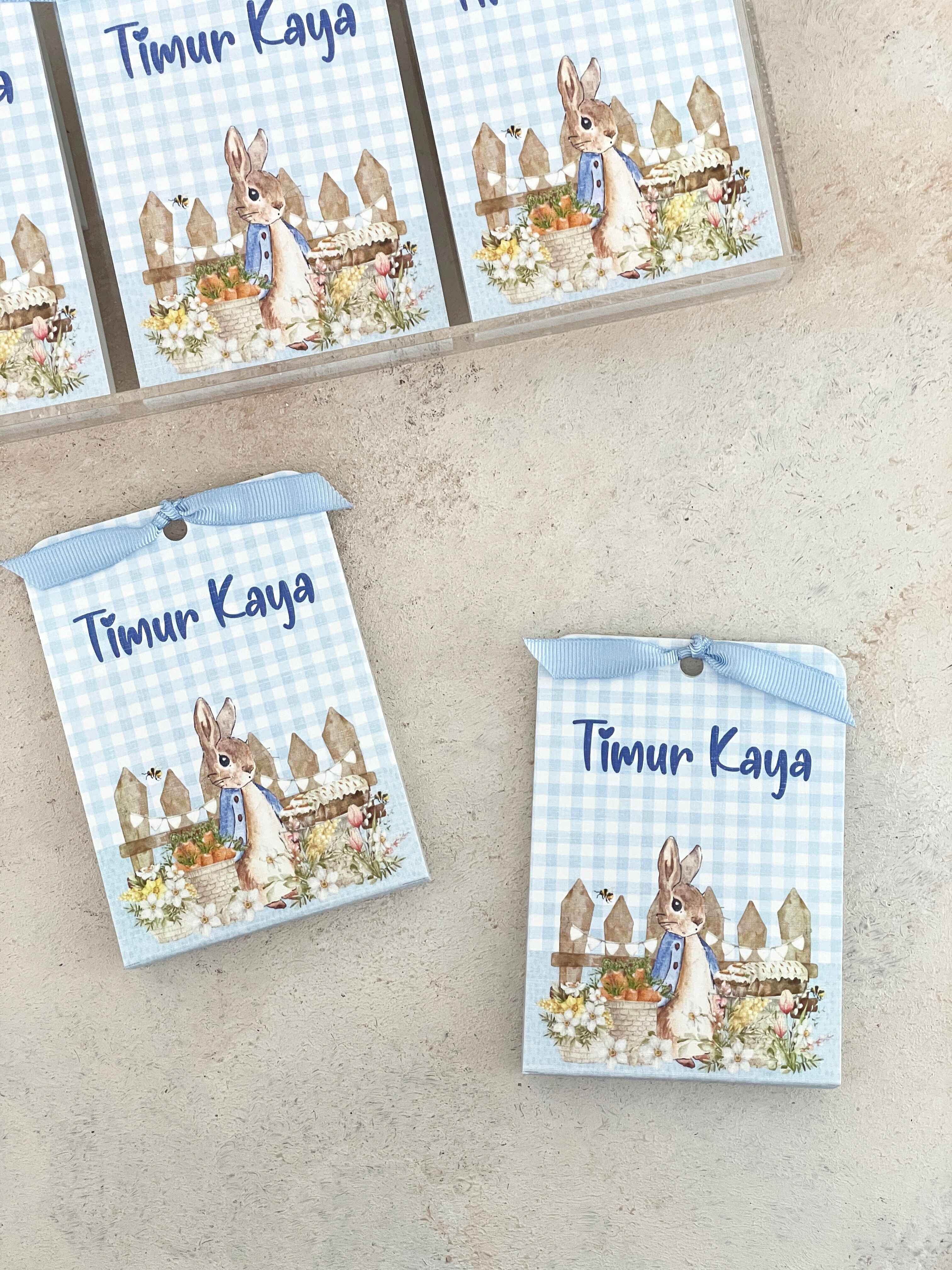 Peter Rabbit & Carrots Harf Pleksi Magnet ve Kılıfı