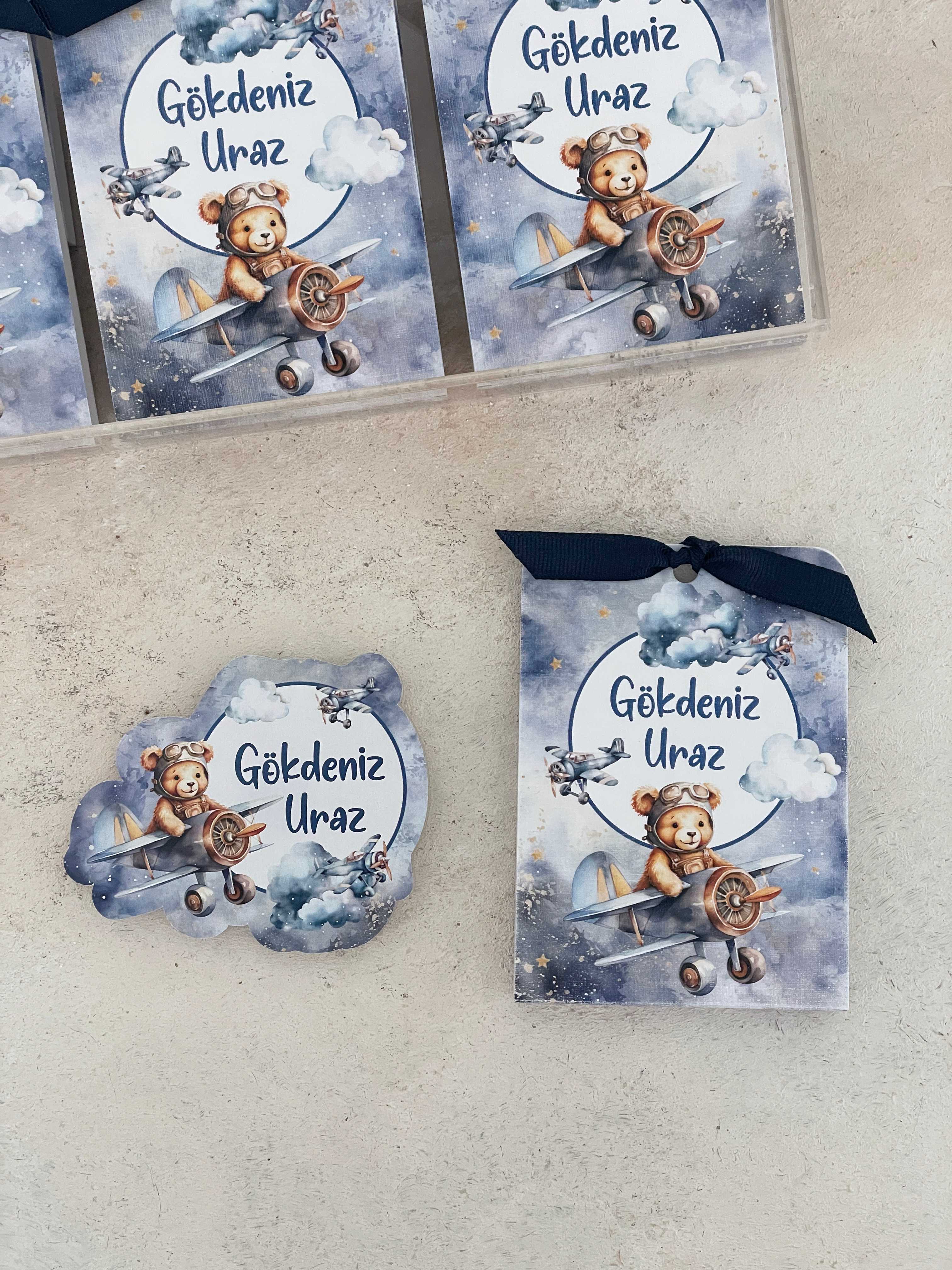 Bear on Plane Blue Pleksi Magnet ve Kılıfı
