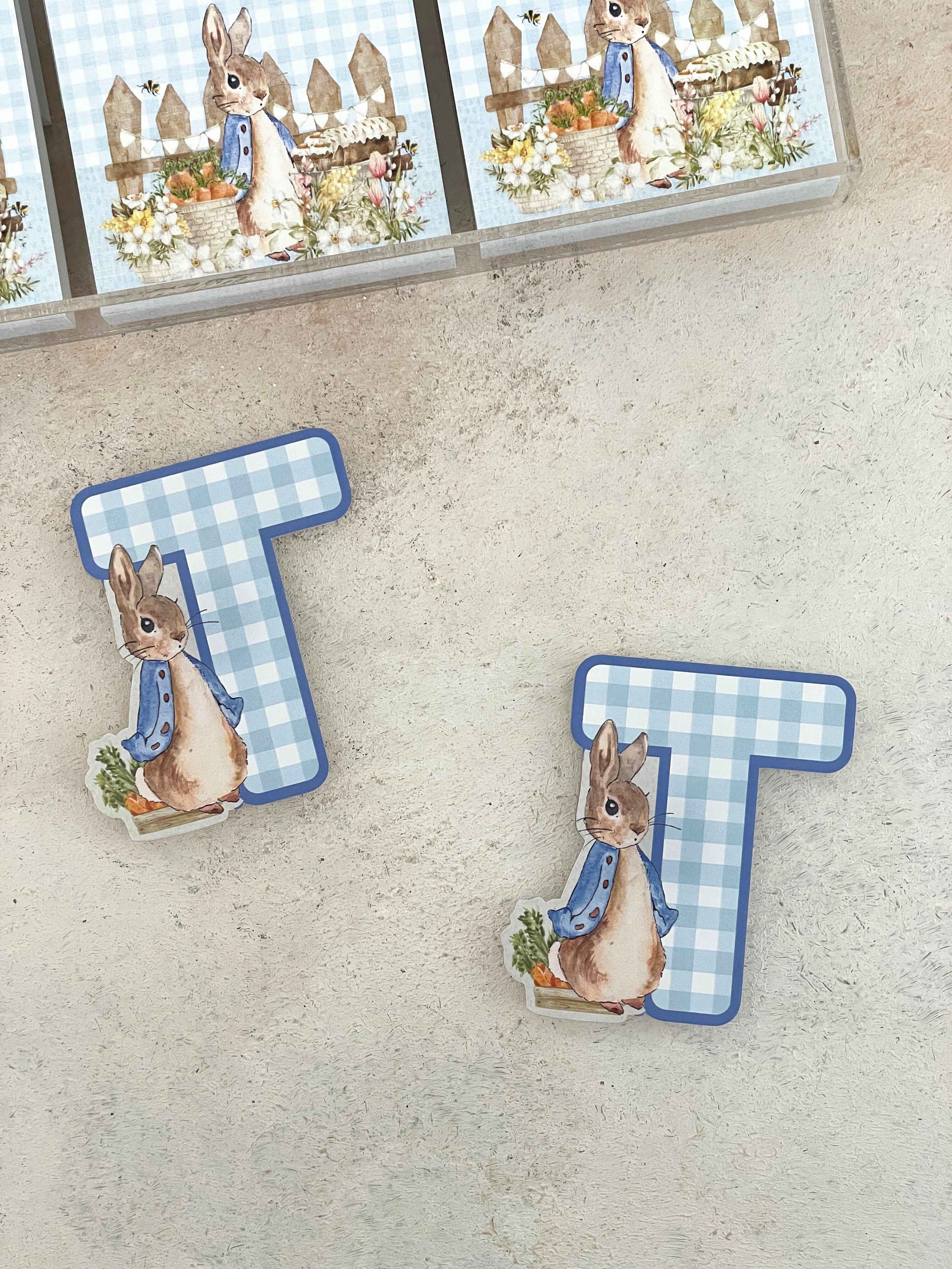 Peter Rabbit & Carrots Harf Pleksi Magnet ve Kılıfı