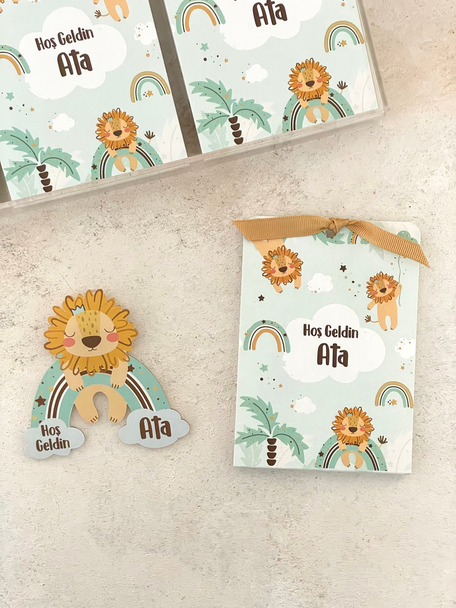 Aslan & Gökkuşağı Mint Pleksi Magnet ve Kılıfı