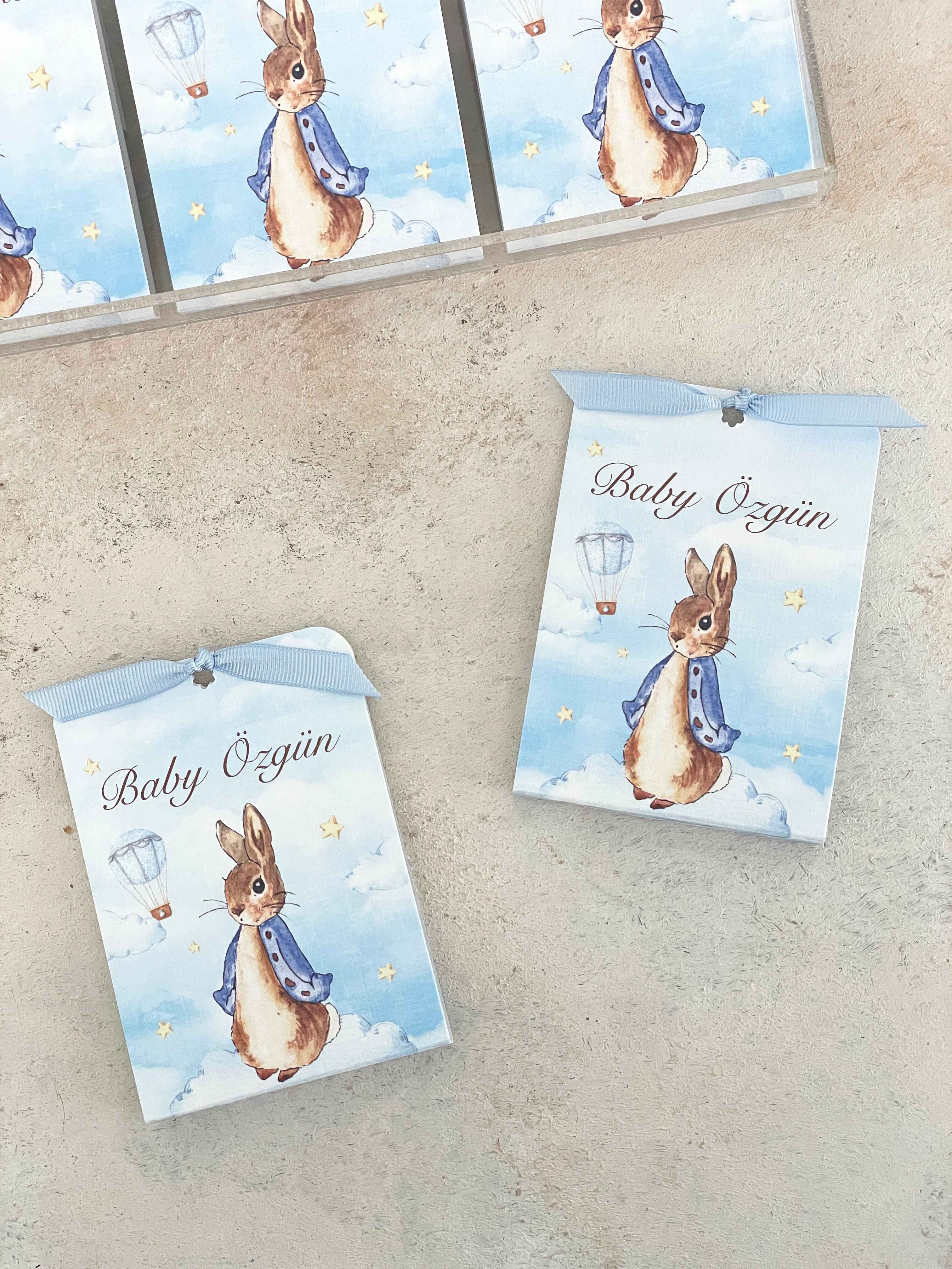 Peter Rabbit on Clouds Pleksi Magnet ve Kılıfı