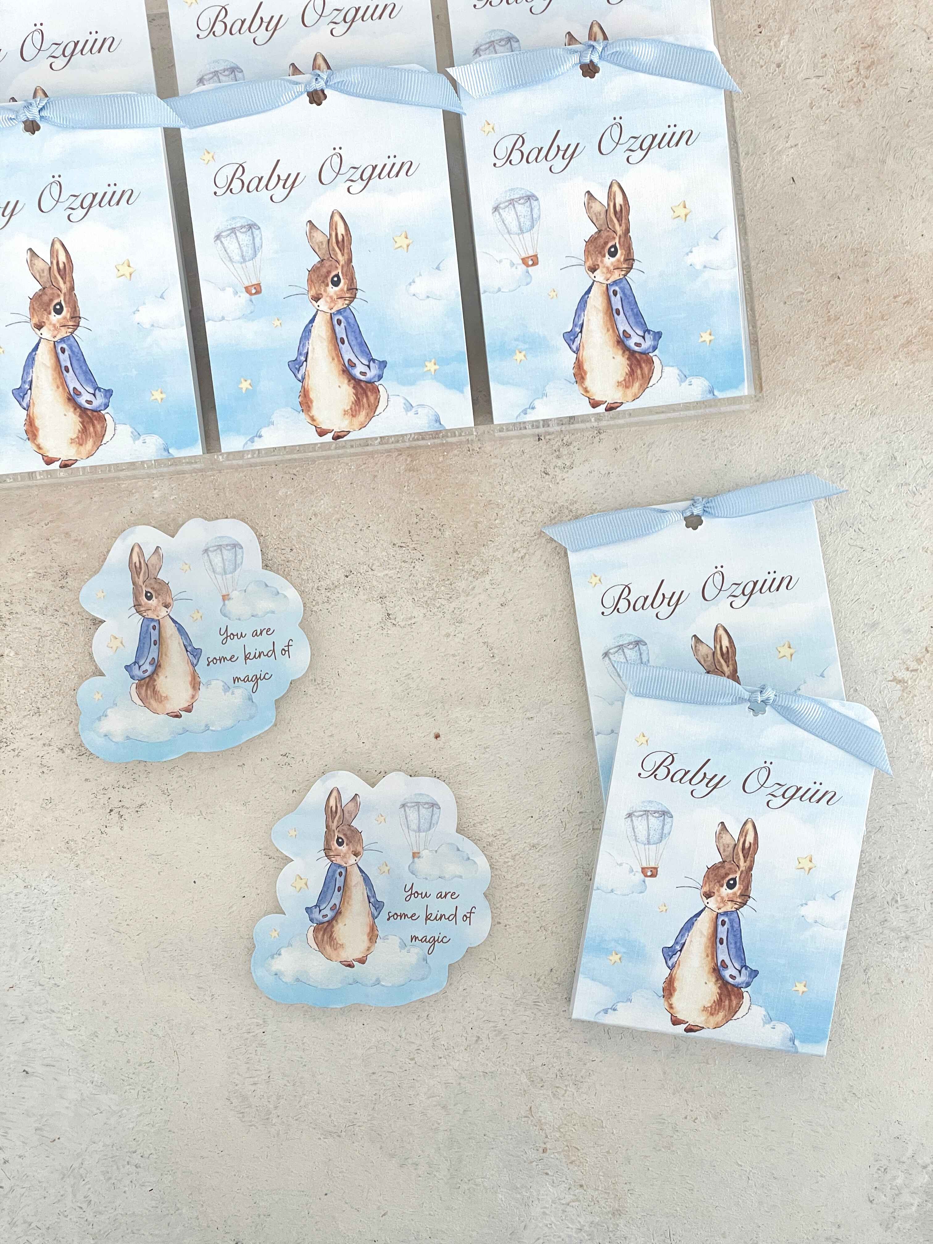 Peter Rabbit on Clouds Pleksi Magnet ve Kılıfı