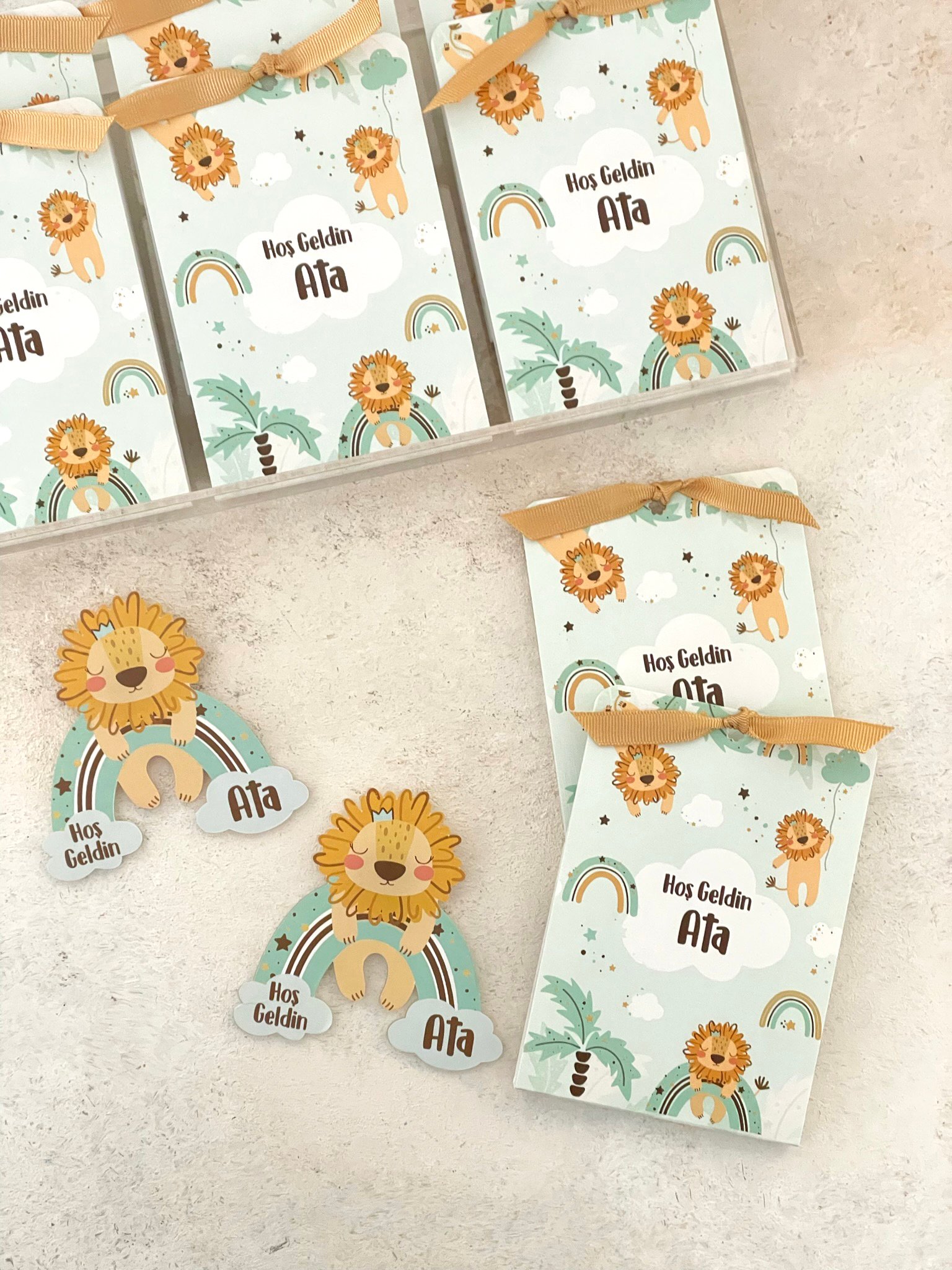Aslan & Gökkuşağı Mint Pleksi Magnet ve Kılıfı