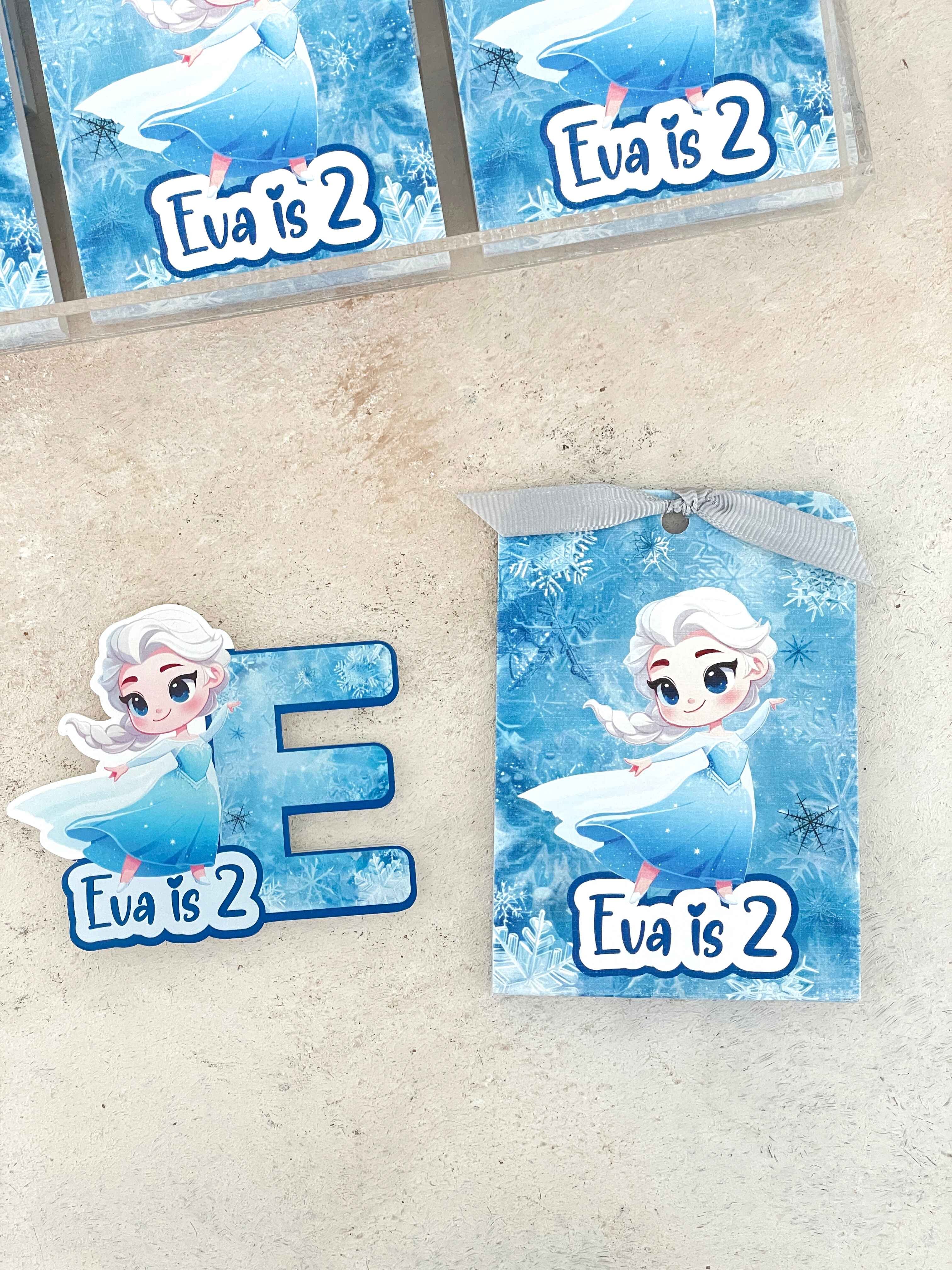 Elsa Magnet ve Kılıfı