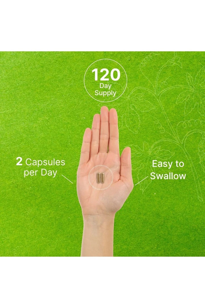 Ginkgo Biloba 500mg Per Serving, 240 Capsules